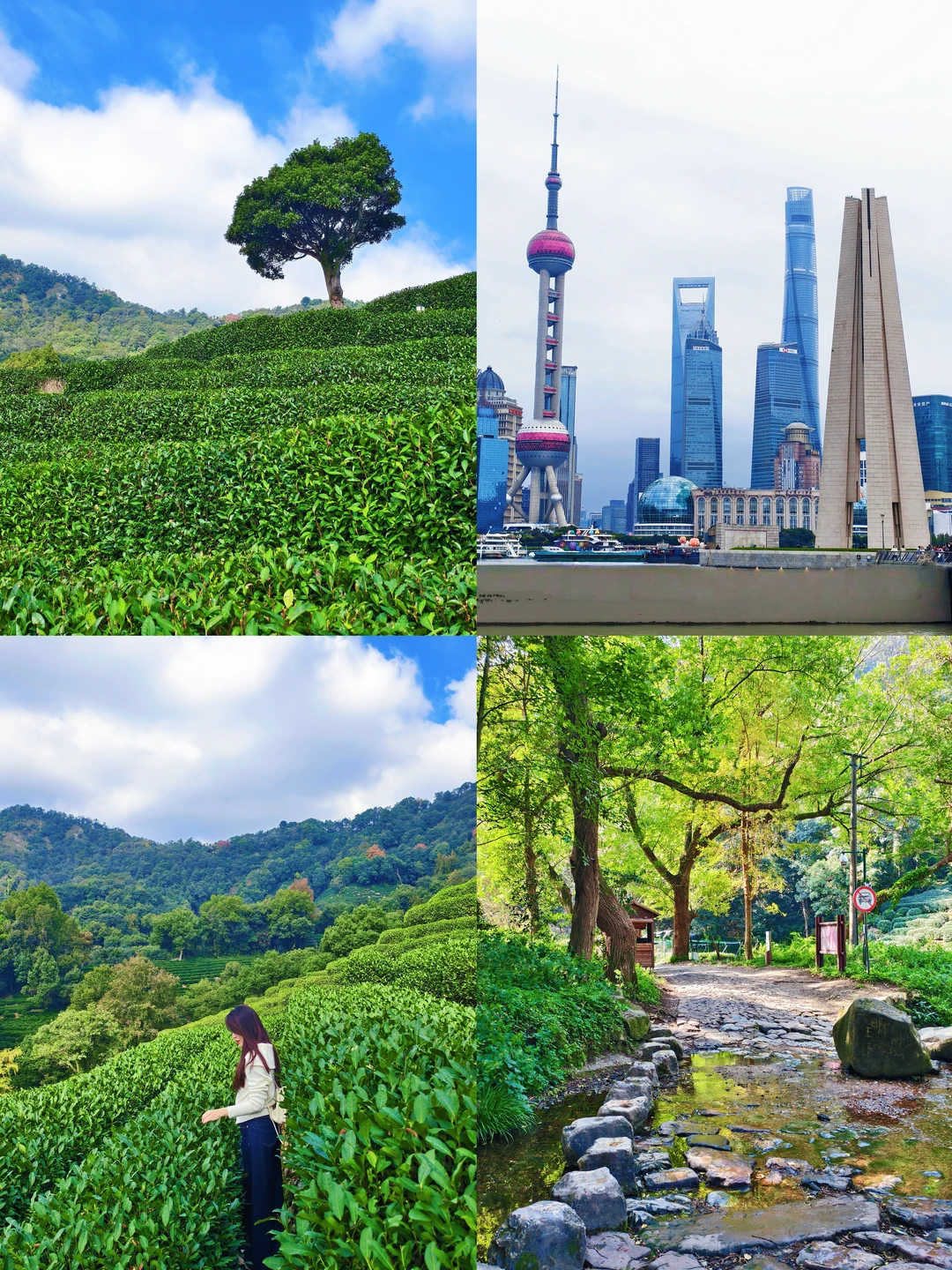 杭州不止西湖❗龙井村➕上海真的超值