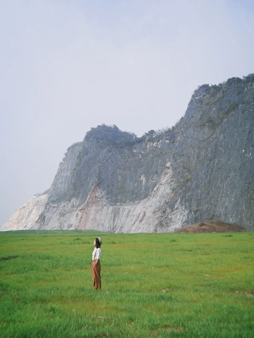杭州小冰岛｜绝美高山草甸湖泊 乌龟山真相
