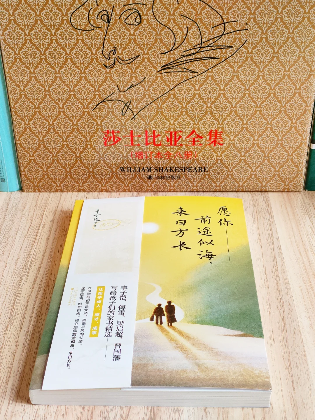 实用到爆炸🔥求你们快去读这本书啊‼️