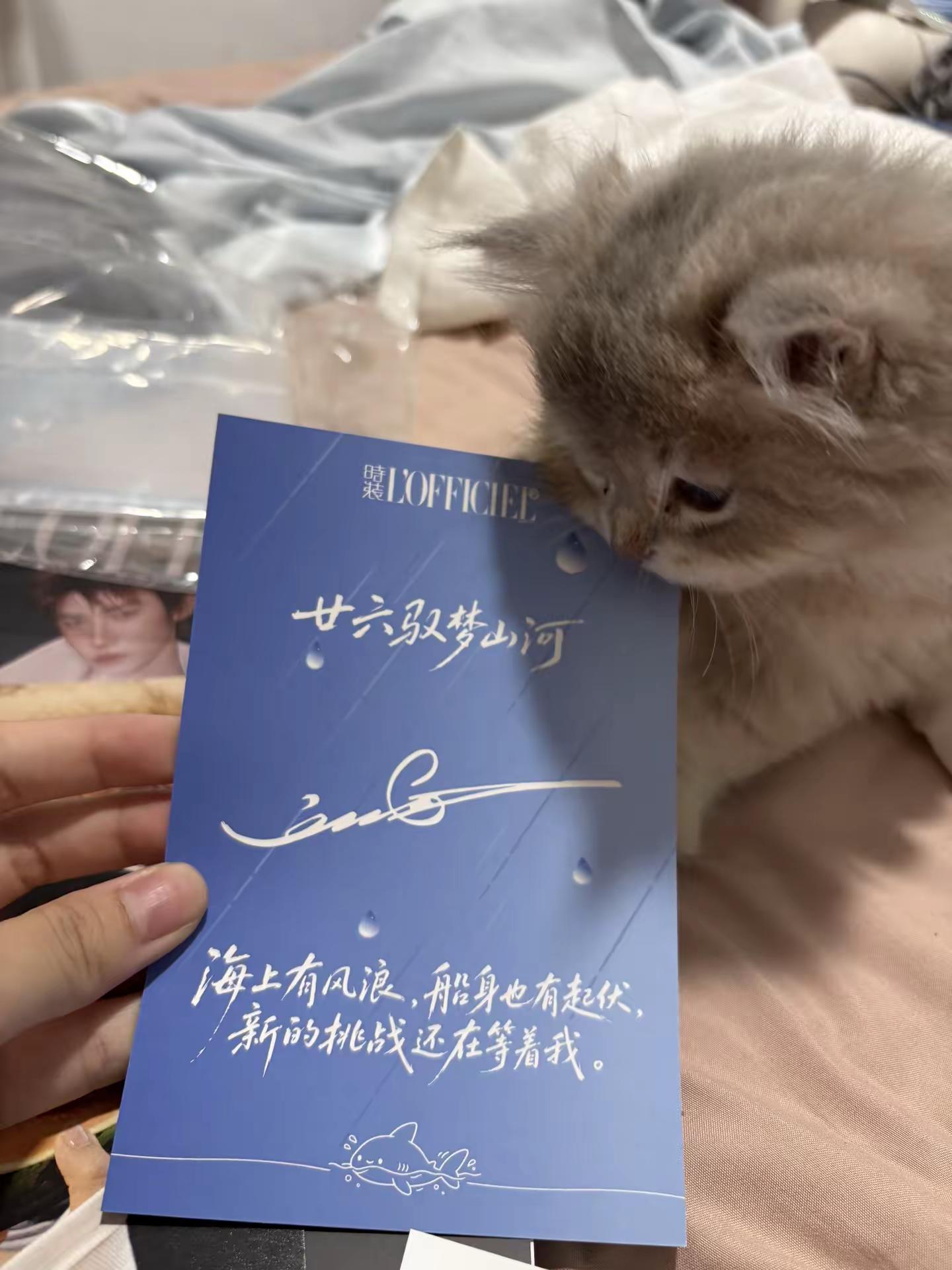 小毛米说长大了也要长这么帅🥹 两个宝宝都很乖，我不会偏心的！刘宇 时装
