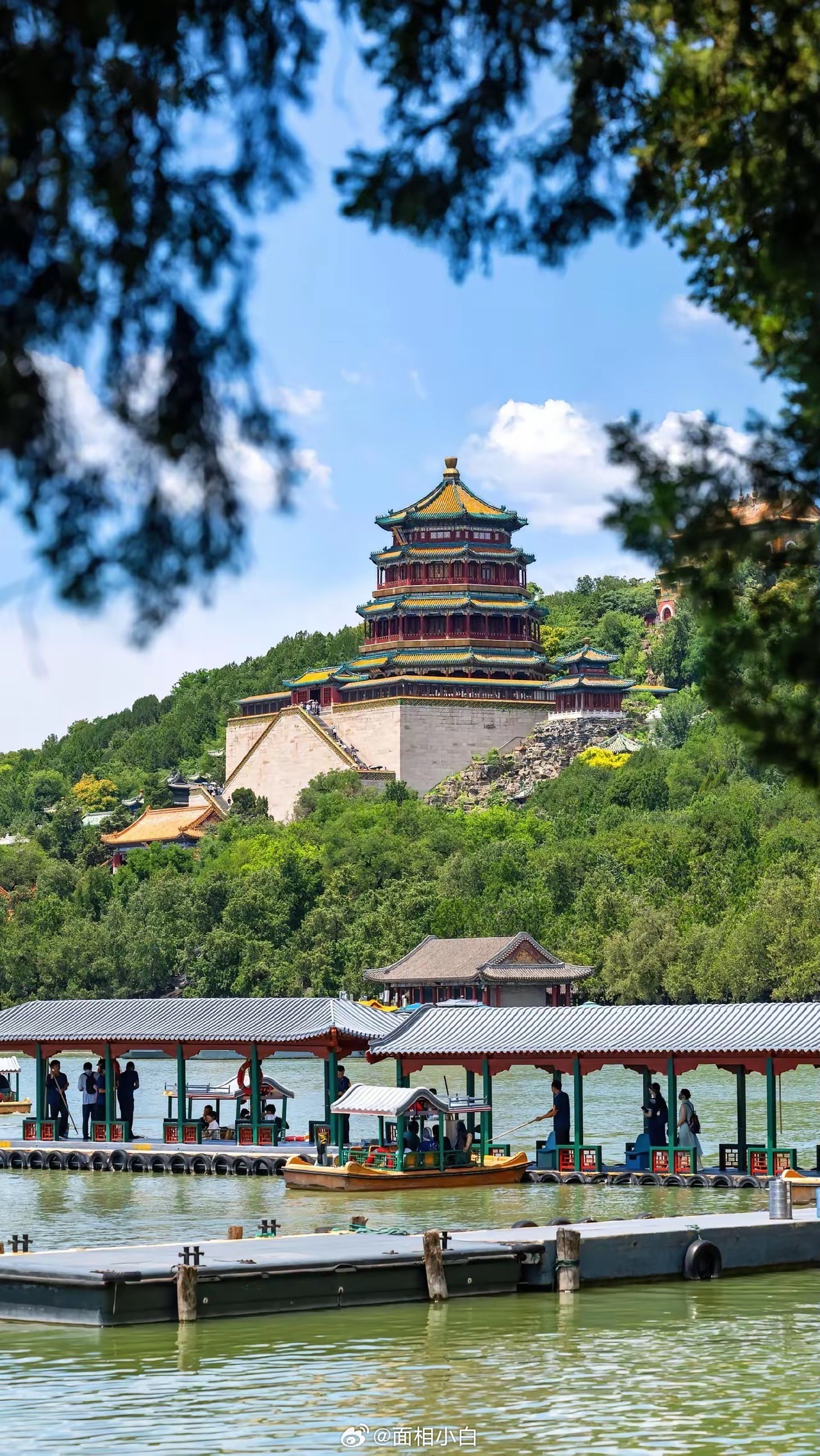 掉在地上的食物，记住不要去捡，这不是浪费。食物落地，属无主之物，意味谁都可以去吃。这说明“有人要”，你不差这一口吃的，但是对于我们看不到的物质，而言，这是涌泉之恩。 周围有需要的“众生”，等过后再清理即可。既避免误伤，也是一种施食。 ​​​