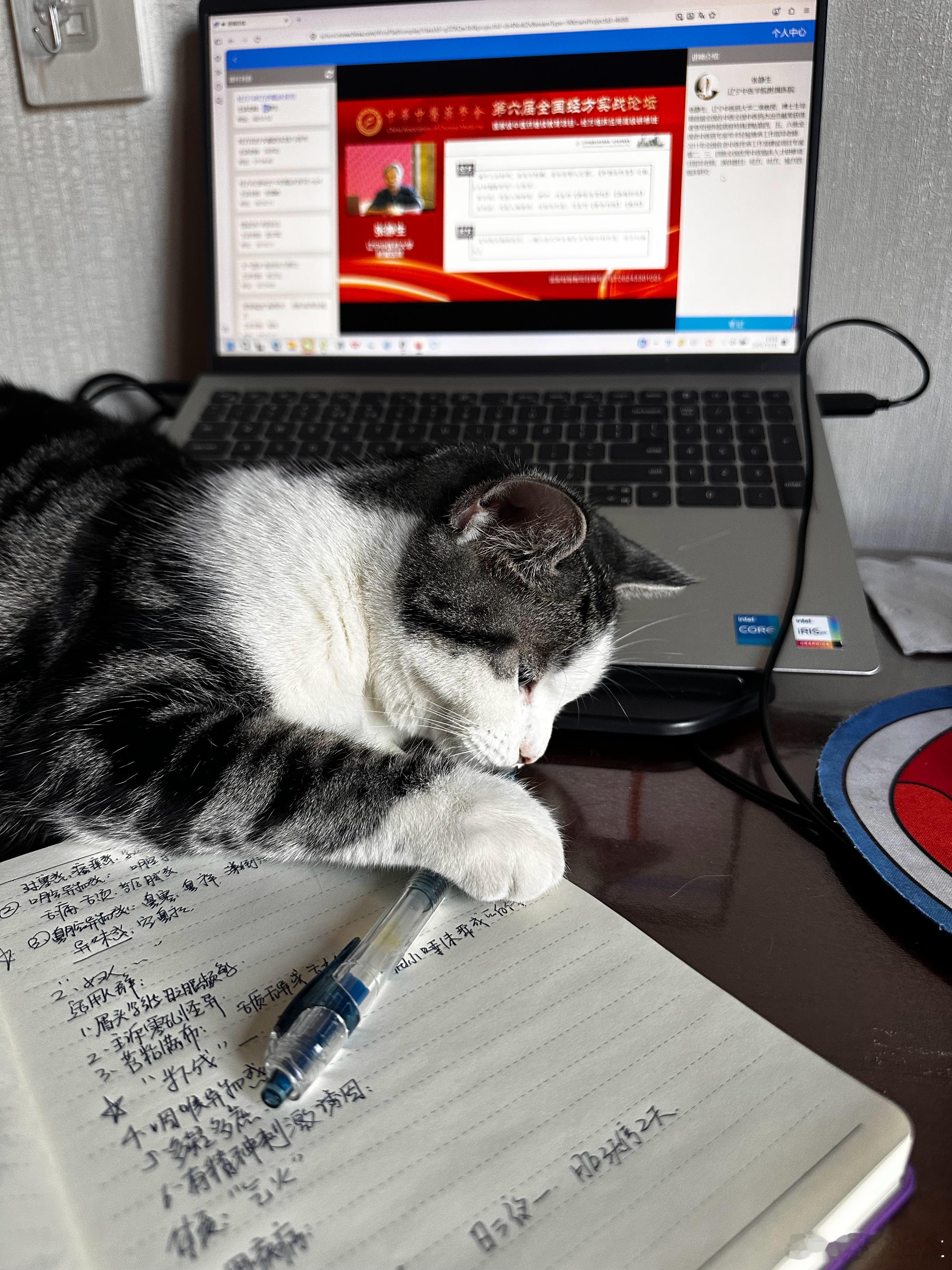 又来监学了 ​​​