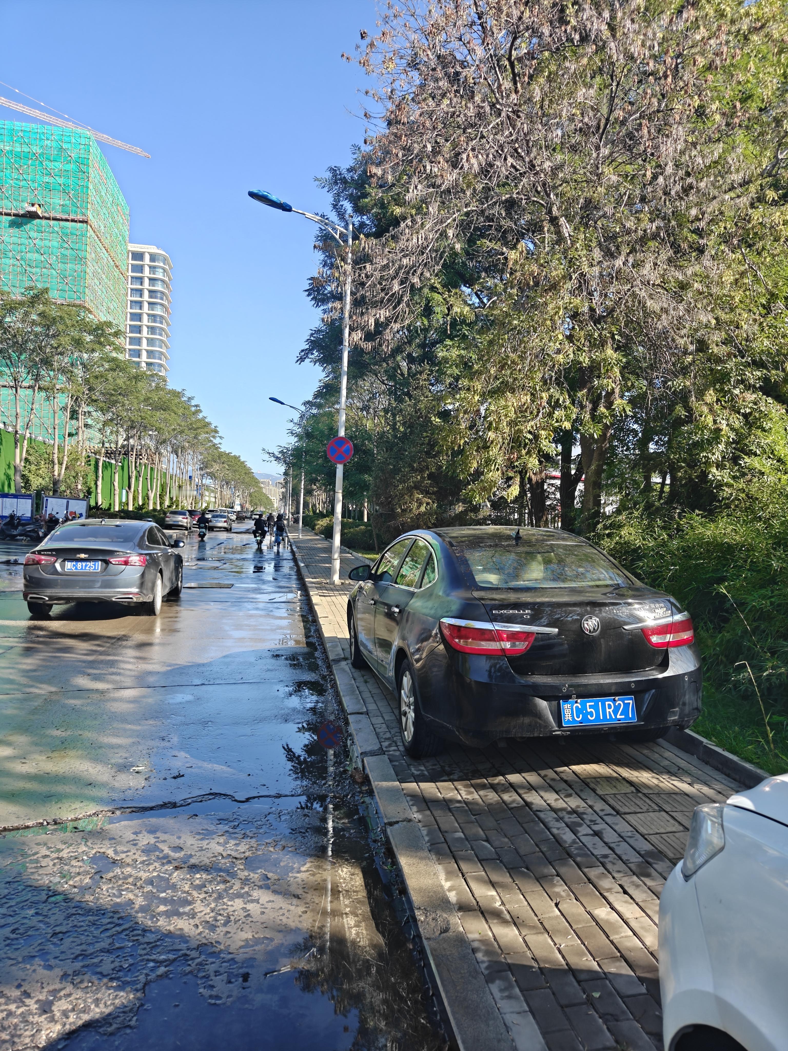 不文明行为曝光：河北秦皇岛开发区金山路，就在禁停标志下，公然在人行道上随意违章停车，占用盲道，这让行人特别是盲人如何行走？为了自己的方便置无辜群众的安全而不顾！