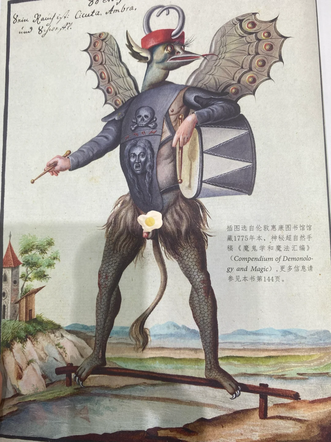 读过最奇特的一本| 人皮、魔鬼、神秘学宗教书