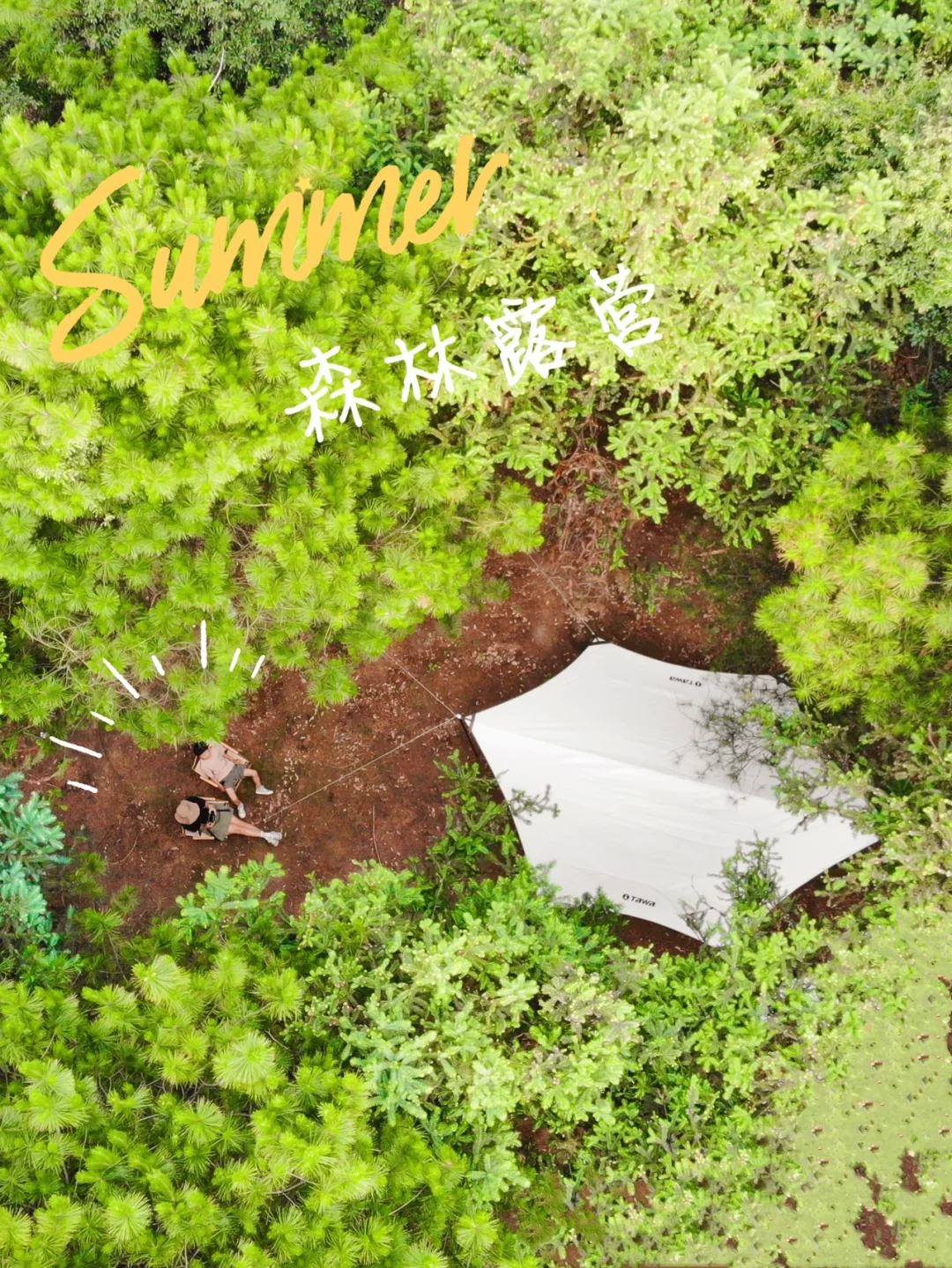 重庆主城露营｜夏天，就要去小众免费的小森林