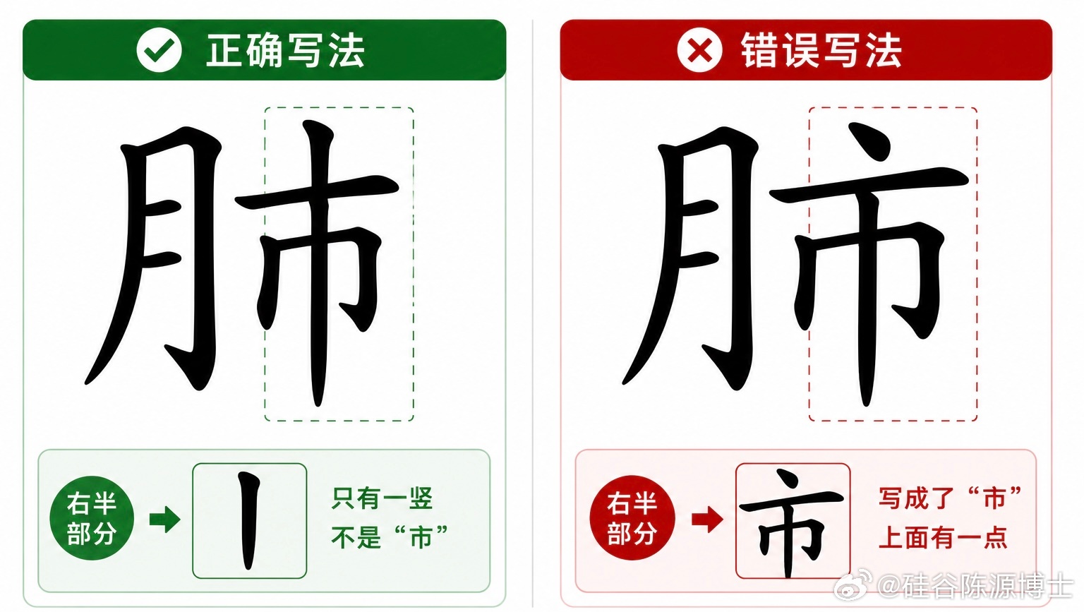 这么多年一直把”肺”字写错了，正确的写法右边中间是一”竖”，而不是”市...