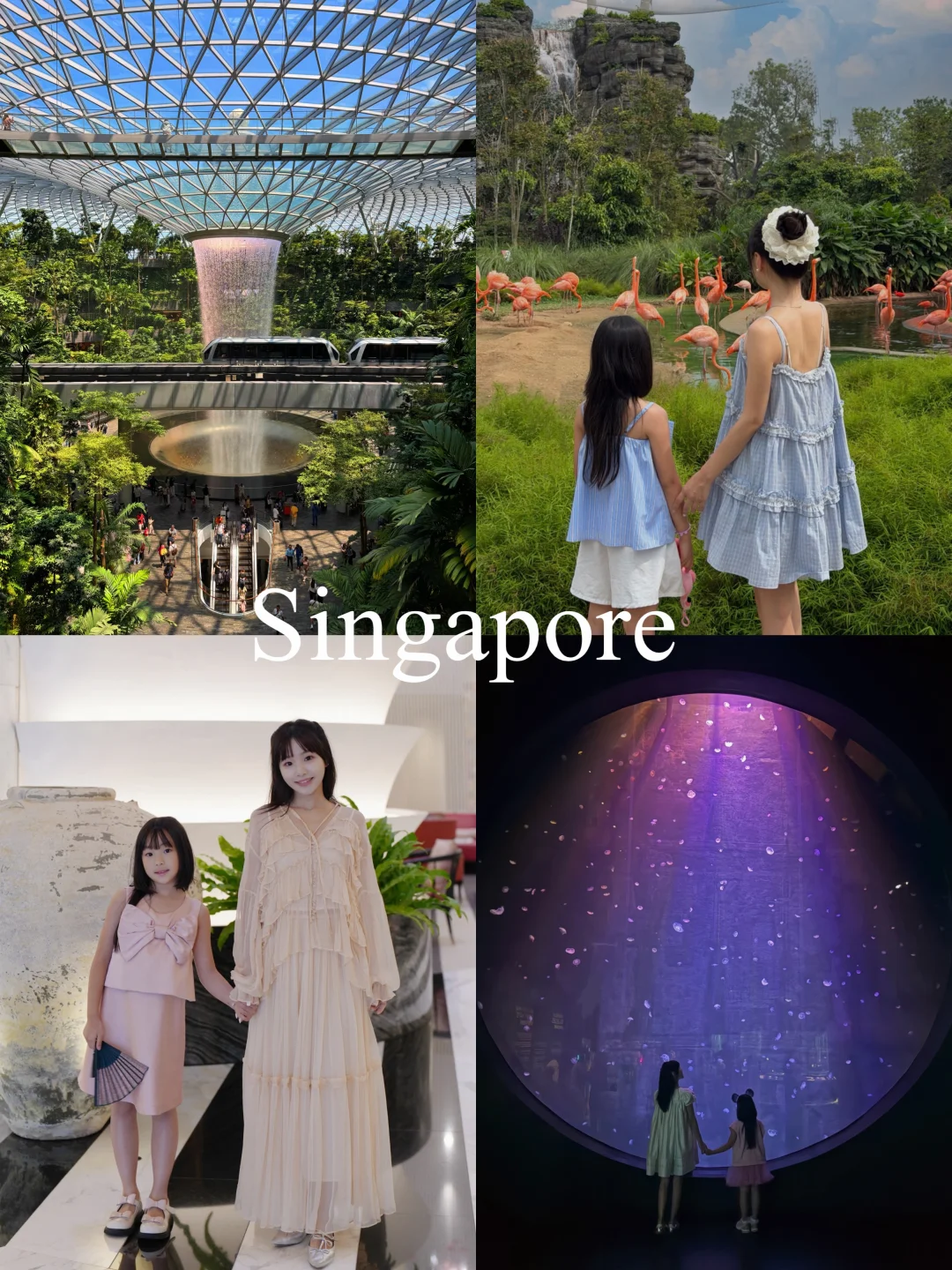 刚从新加坡回来🇸🇬5天4晚亲子玩乐美食攻略