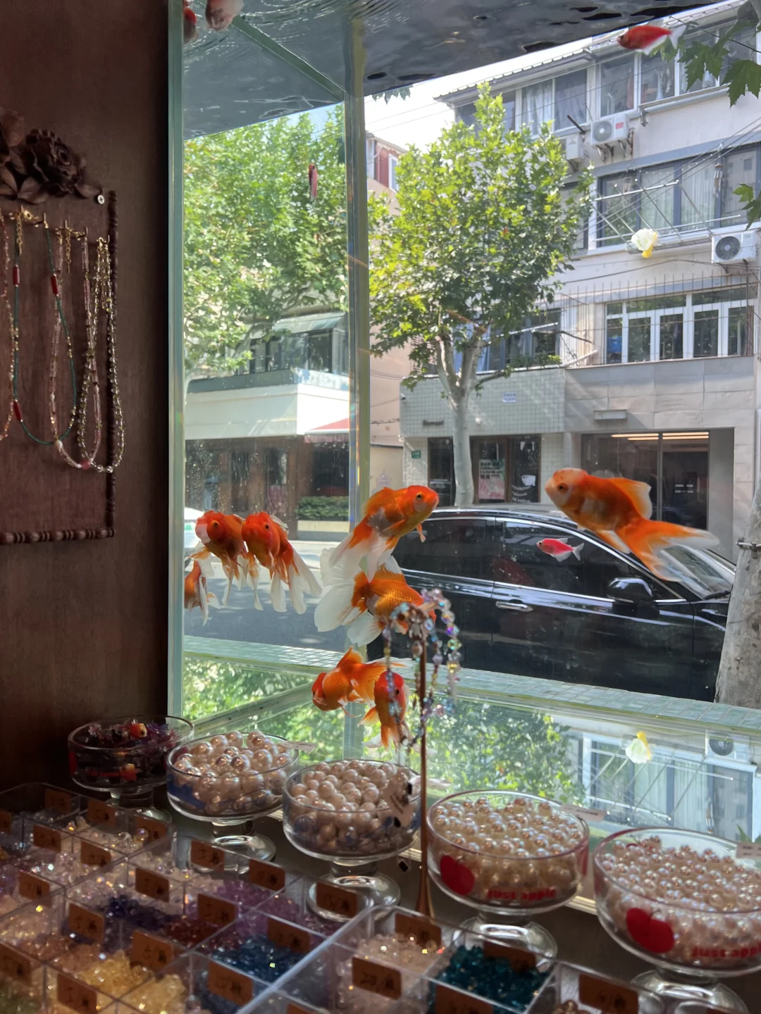 上海好逛的小店➕1❕夏日梦核金鱼🐟🫧🩵