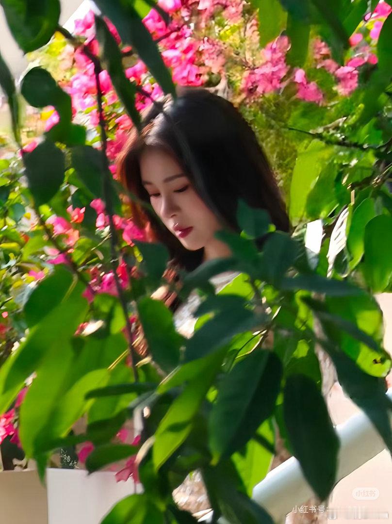 这张是什么神仙美图 ​