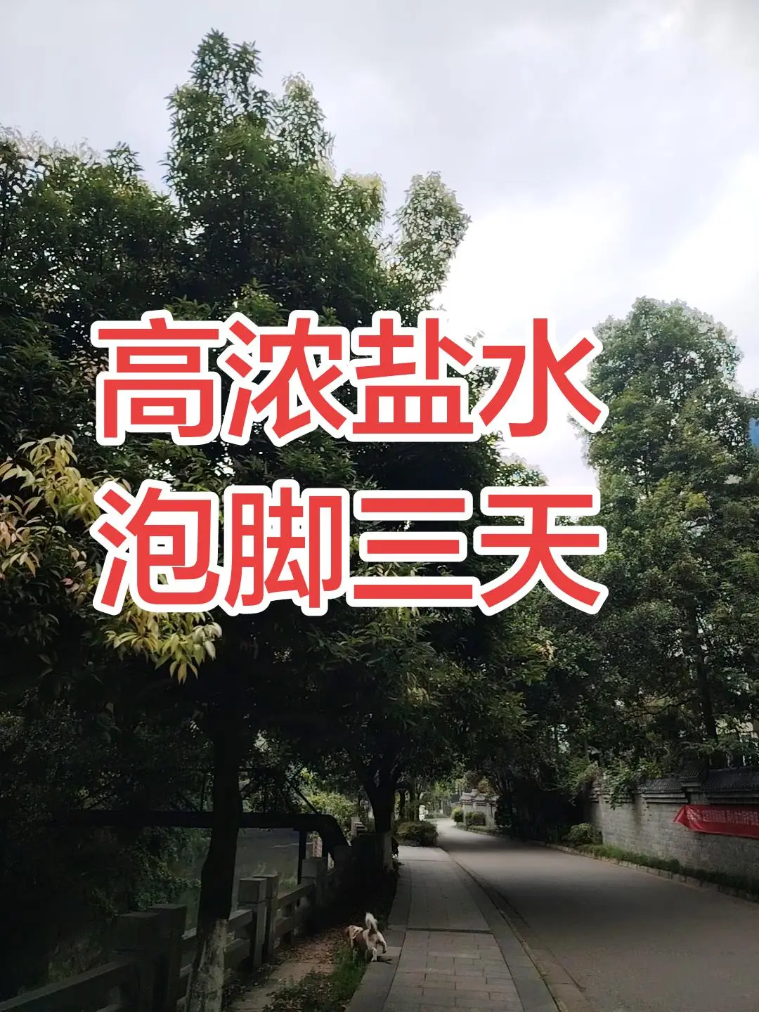 第二届
