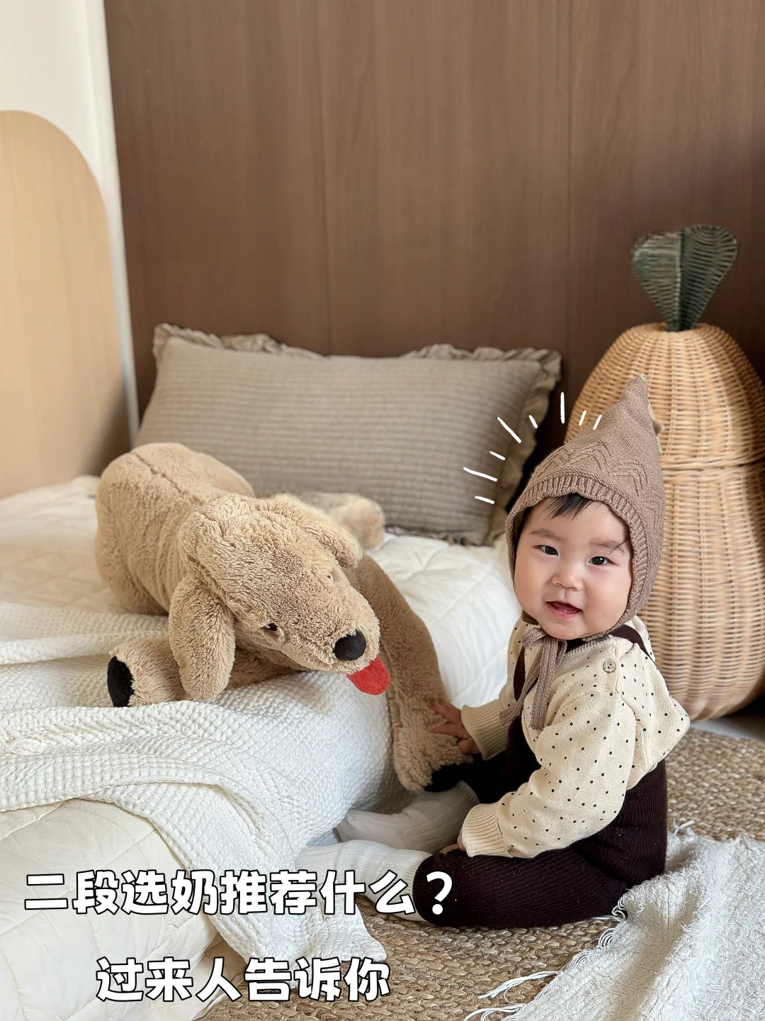 二段选奶推荐，经验总结看过来！