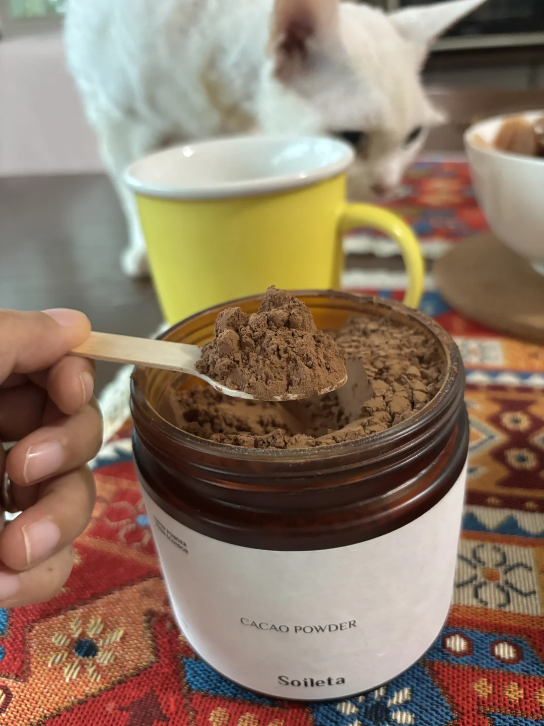 吃可可粉一个月，分享一下感受