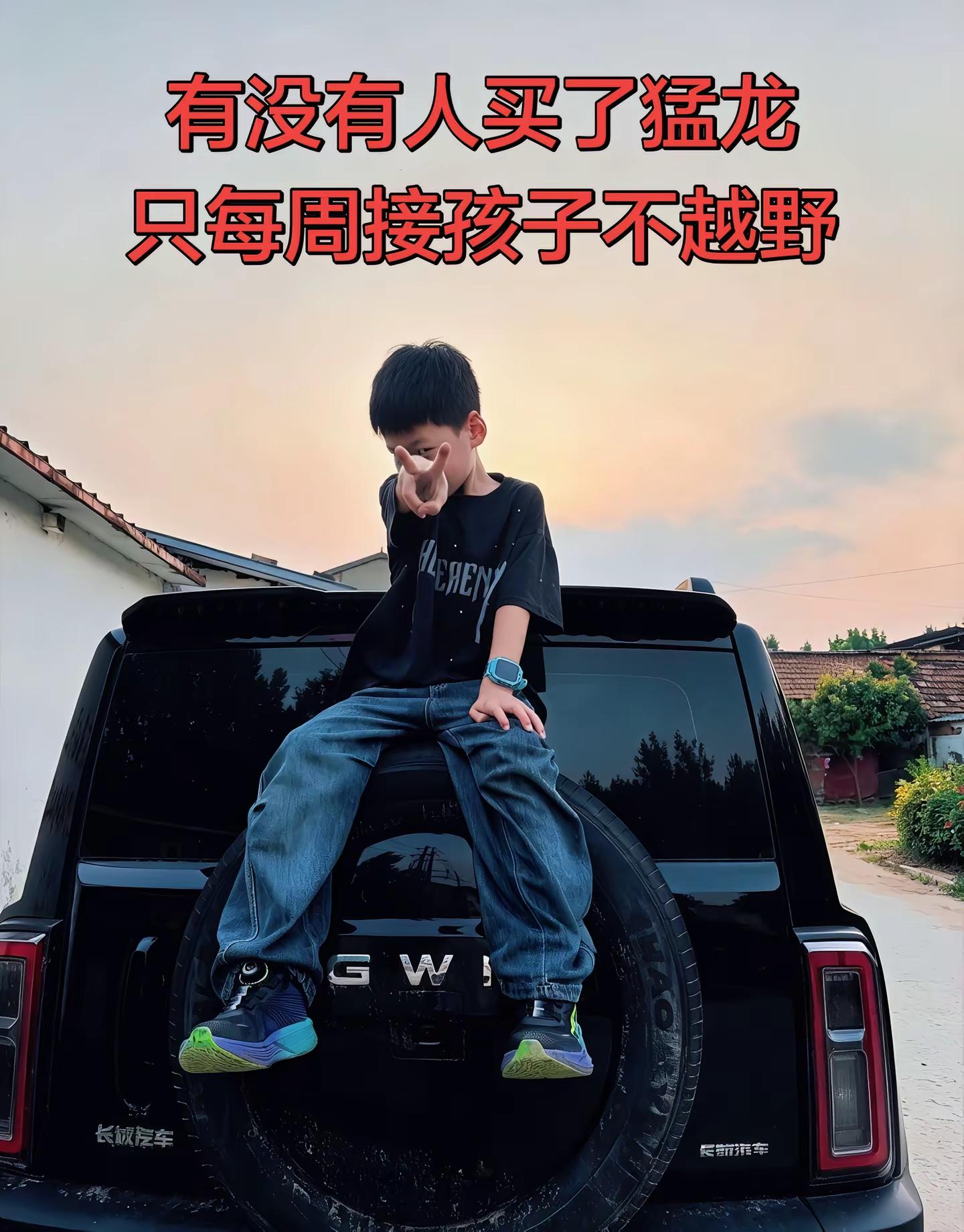 有没有人买了猛龙，不越野的……