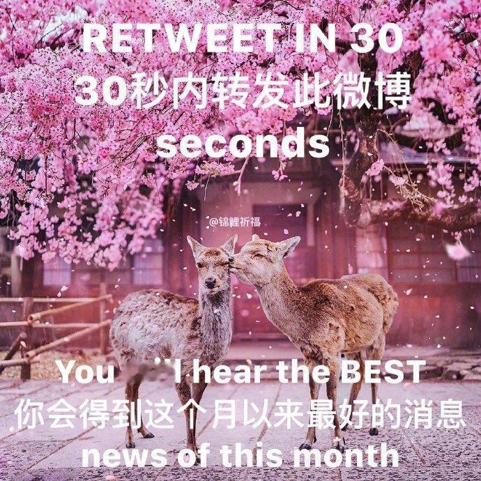 拜托了🙏​ ​​​​