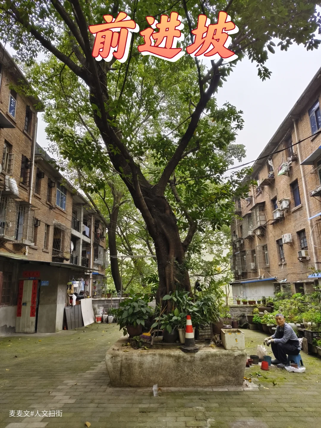 【沙坪坝】前进坡电视台背后的特钢记忆