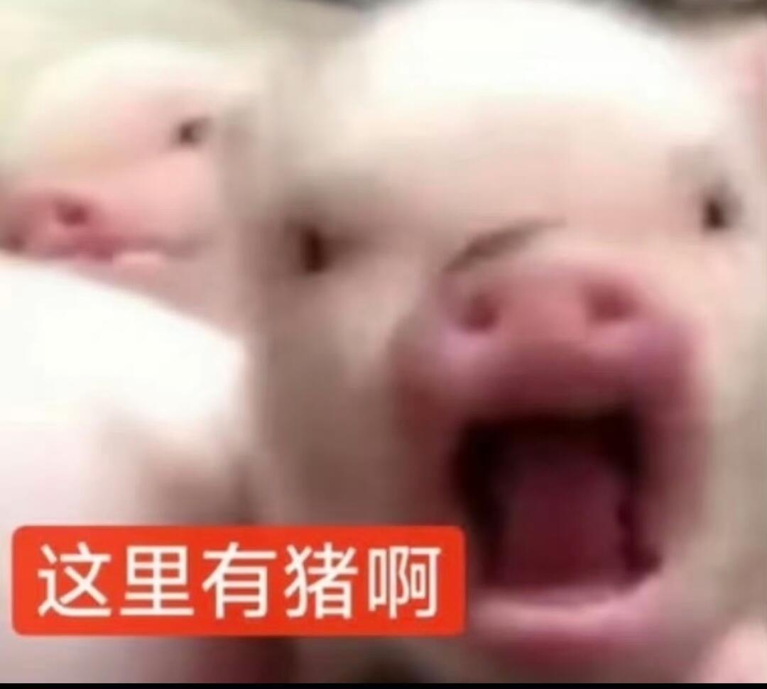 乐淇苹果真的比一般的苹果好吃😋 ​