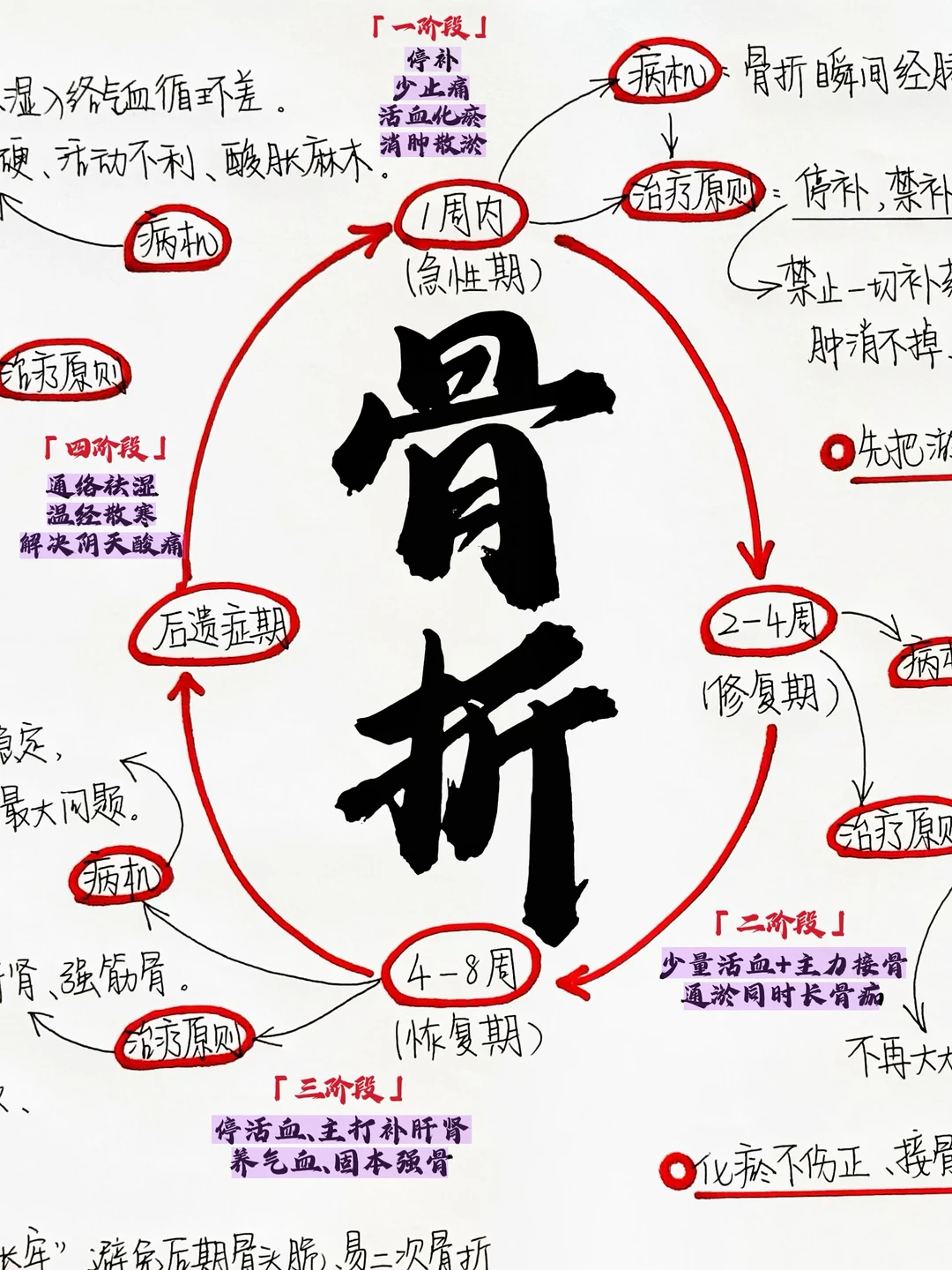 花了一晚上终于把“骨折”梳理明白了！