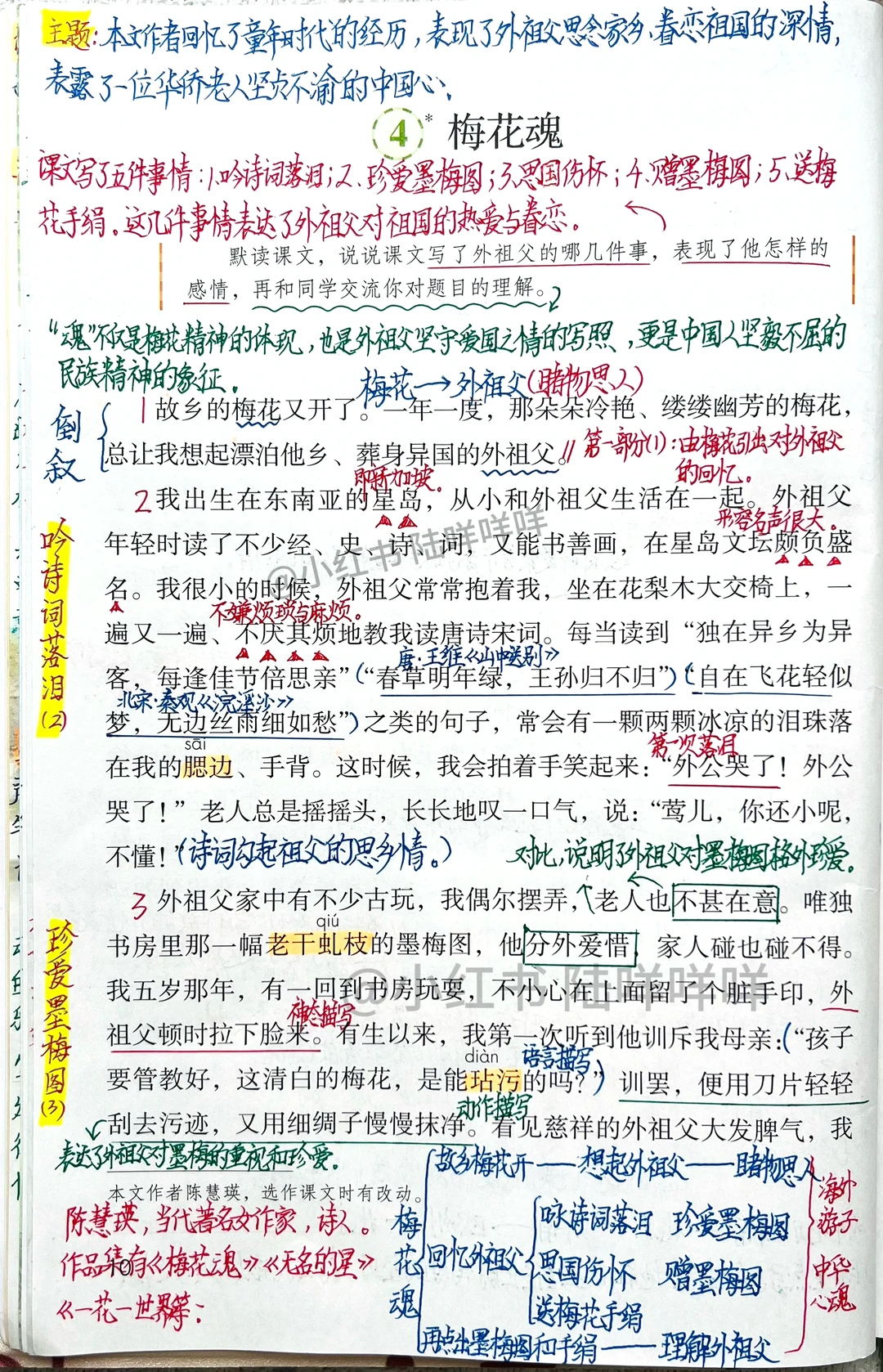 五下语文第4课《梅花魂》课堂笔记及课后习题