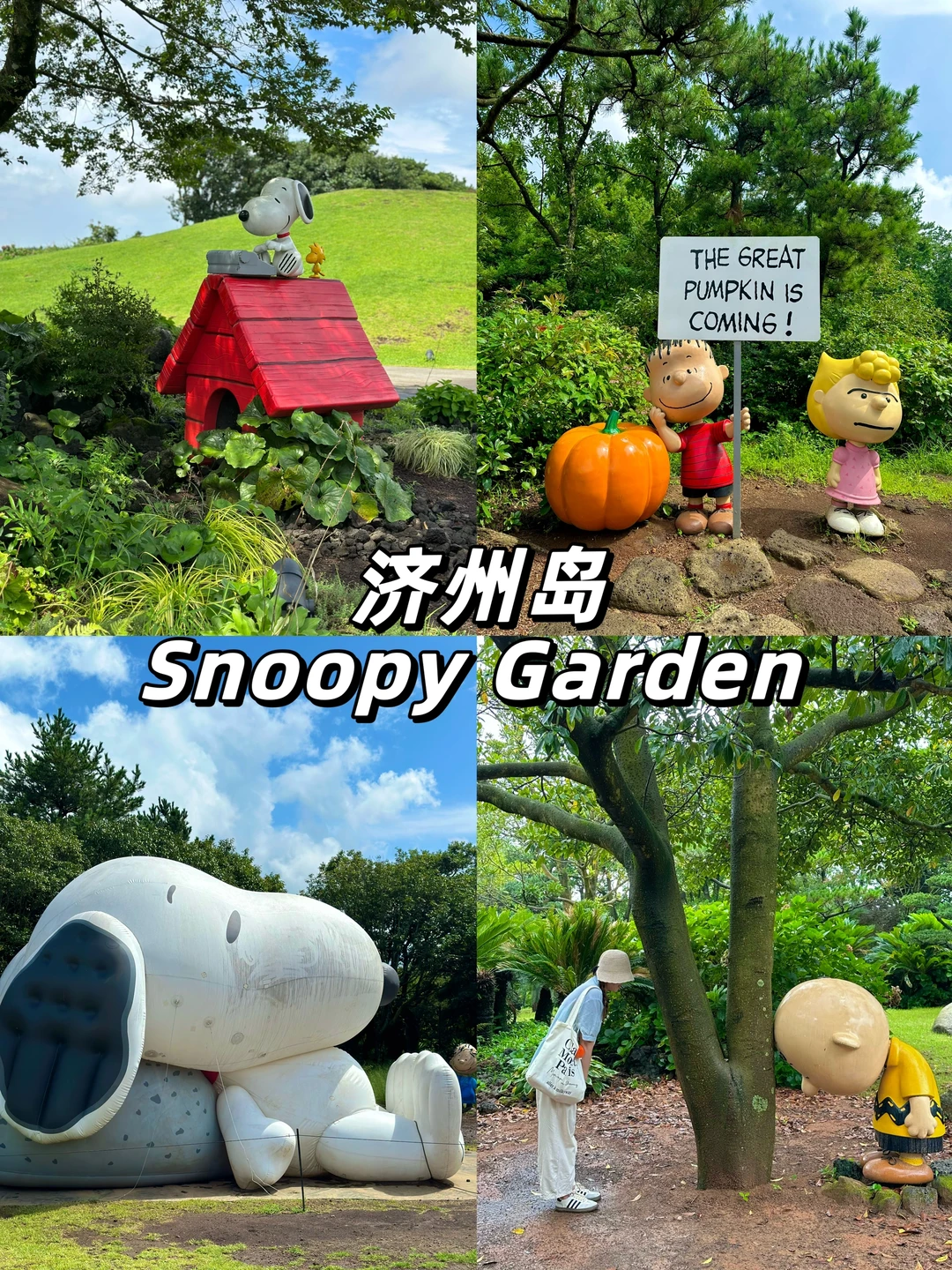 🇰🇷济州岛SNOOPY GARDEN｜太可爱太好拍啦❗️