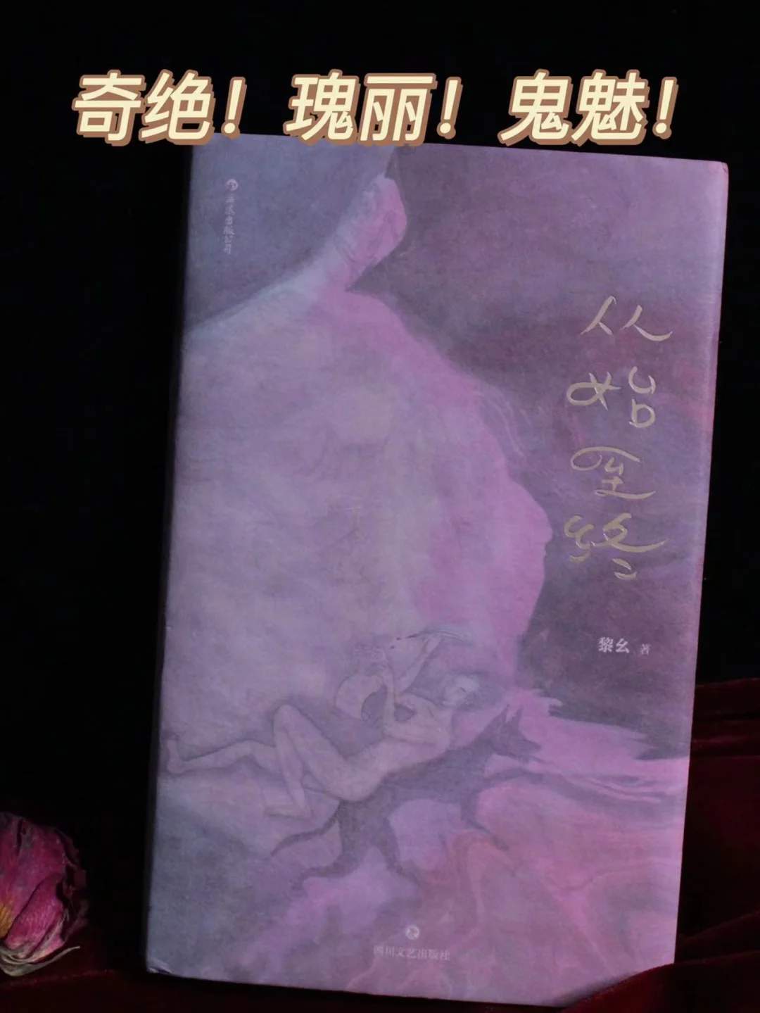 叹服！这本书绝到无法形容！！！