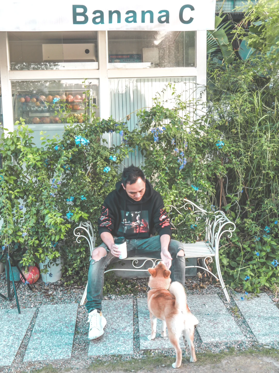 城市里的花园咖啡店，好正！