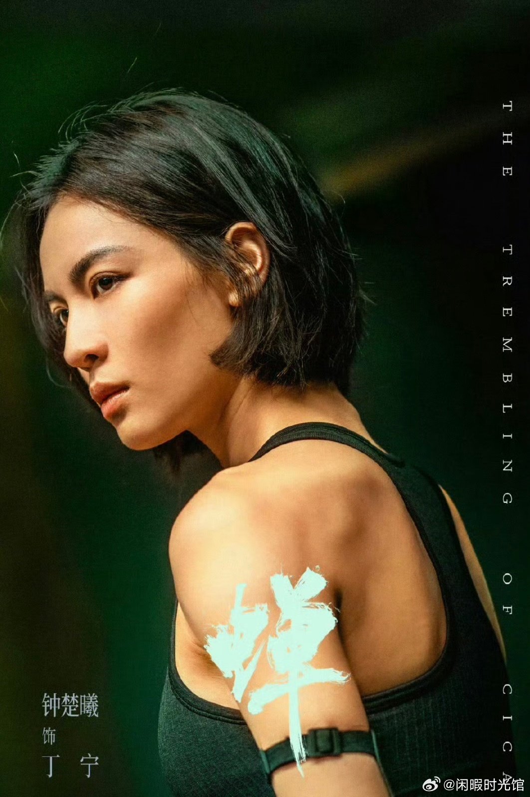 《蝉》更13-14集 主演 钟楚曦 吴镇宇4K夸克
（先👍后取🙏） ​