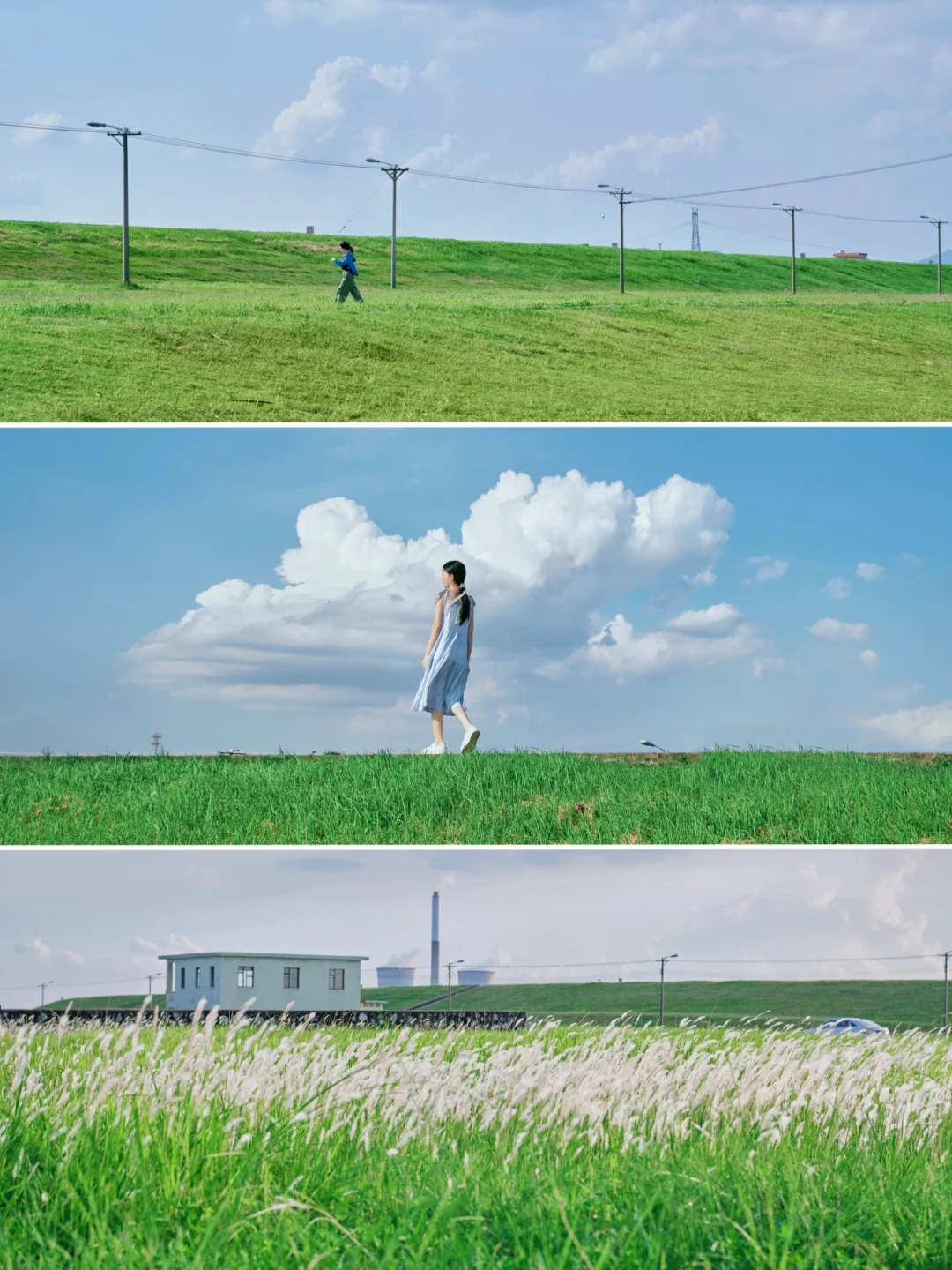 广州1h就能到达宫崎骏夏天里的宝藏大草原🚗