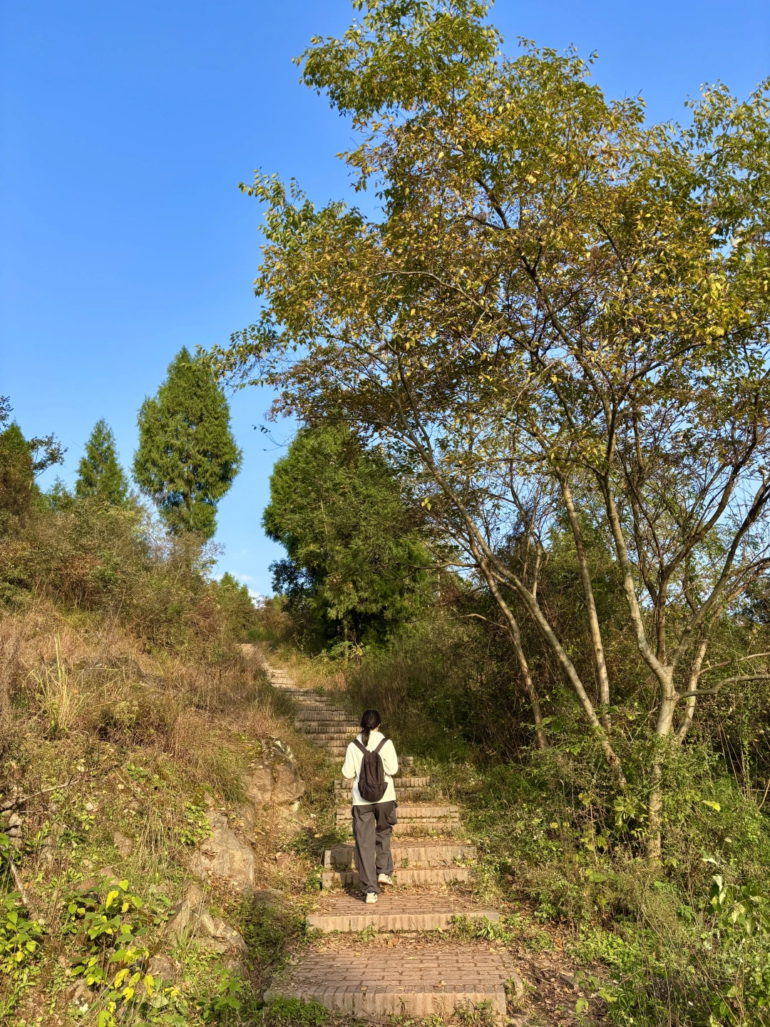 成都0.5h，小众徒步登高望远，不走寻常路~