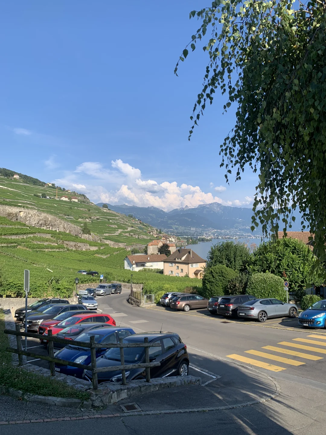 Live图意义 | 太治愈了，生命就该浪费在这