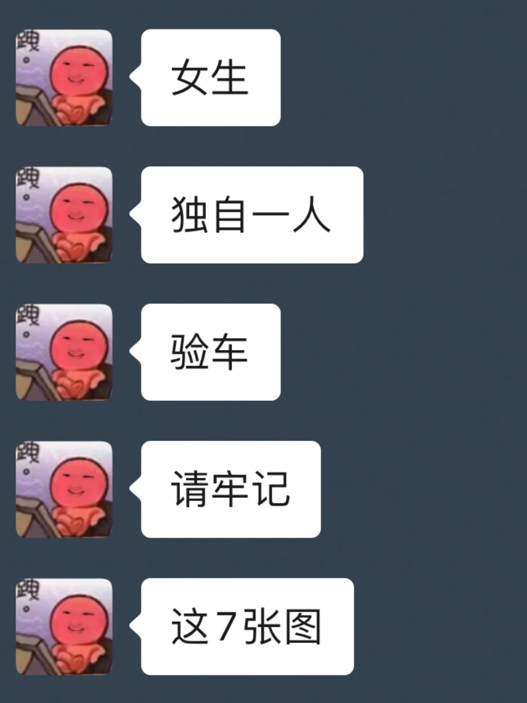 新手验车不求人