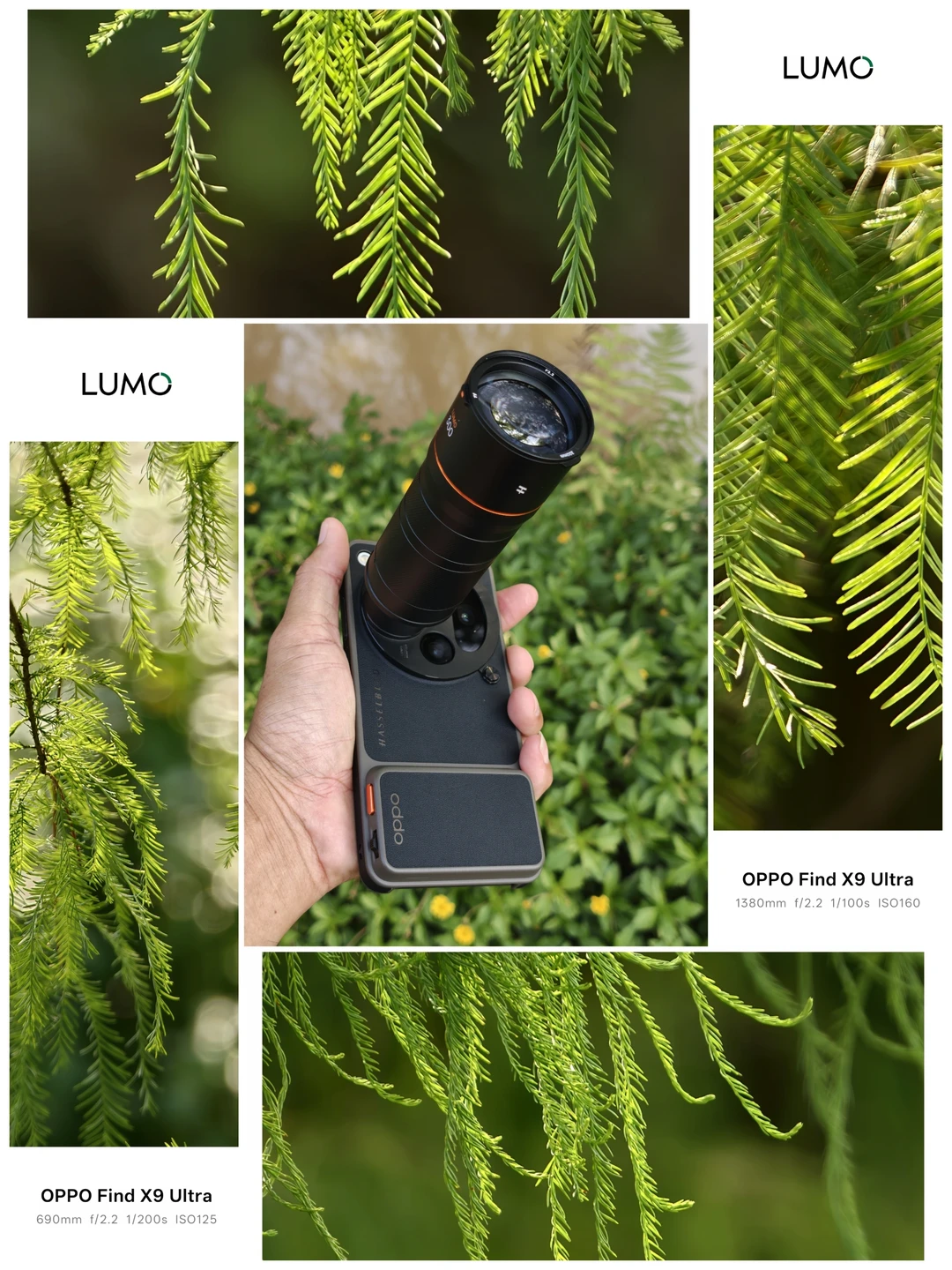 OPPO Find X9 Ultra+增倍镜探索自然微观