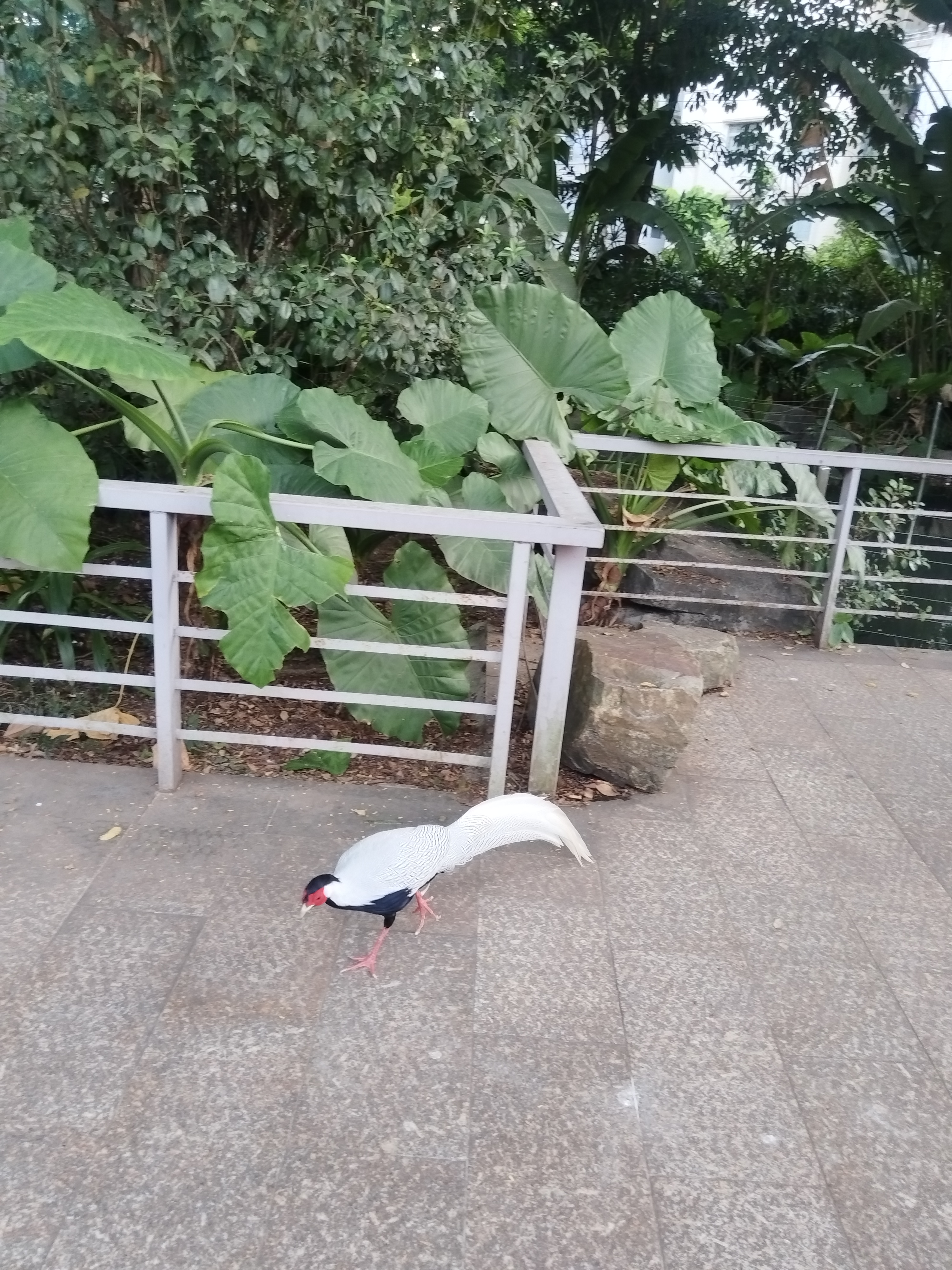 <p>有气质的女人给人什么感觉 <!--{img:0}--></p><...