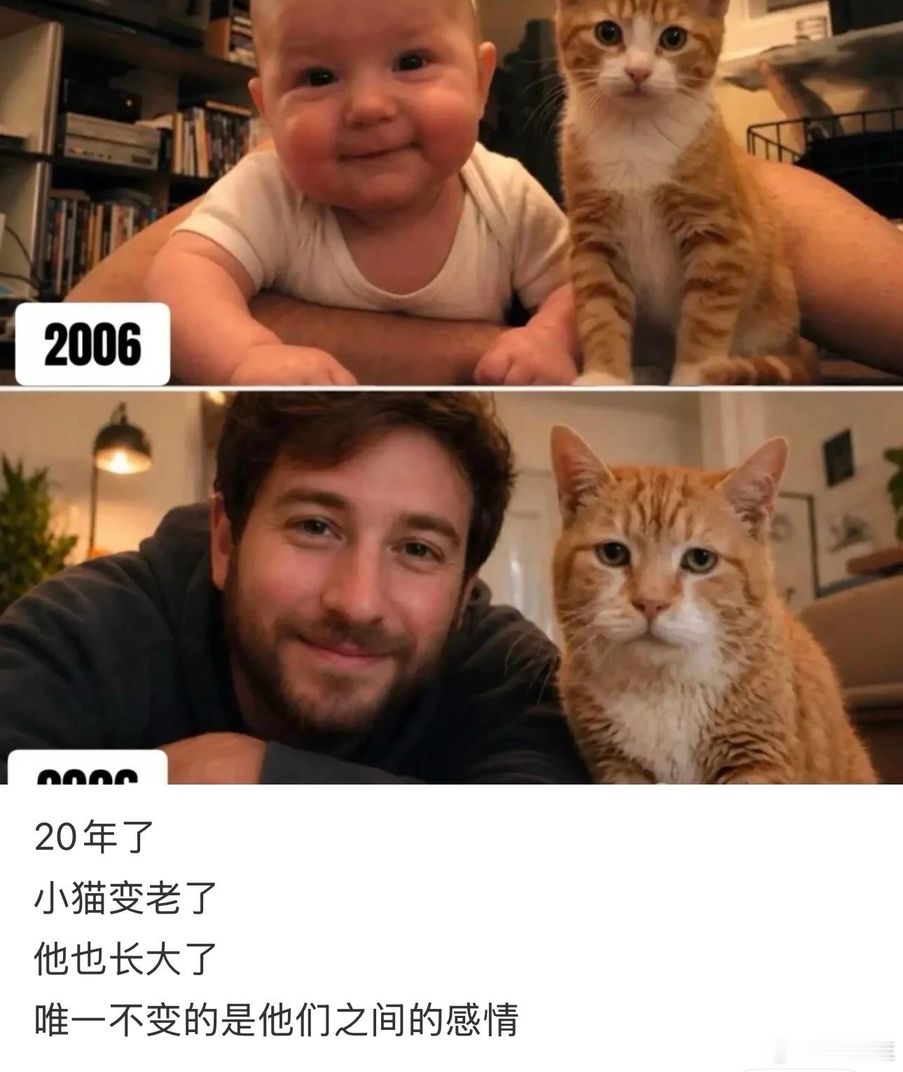 20年前vs20年后对比 ​​​
