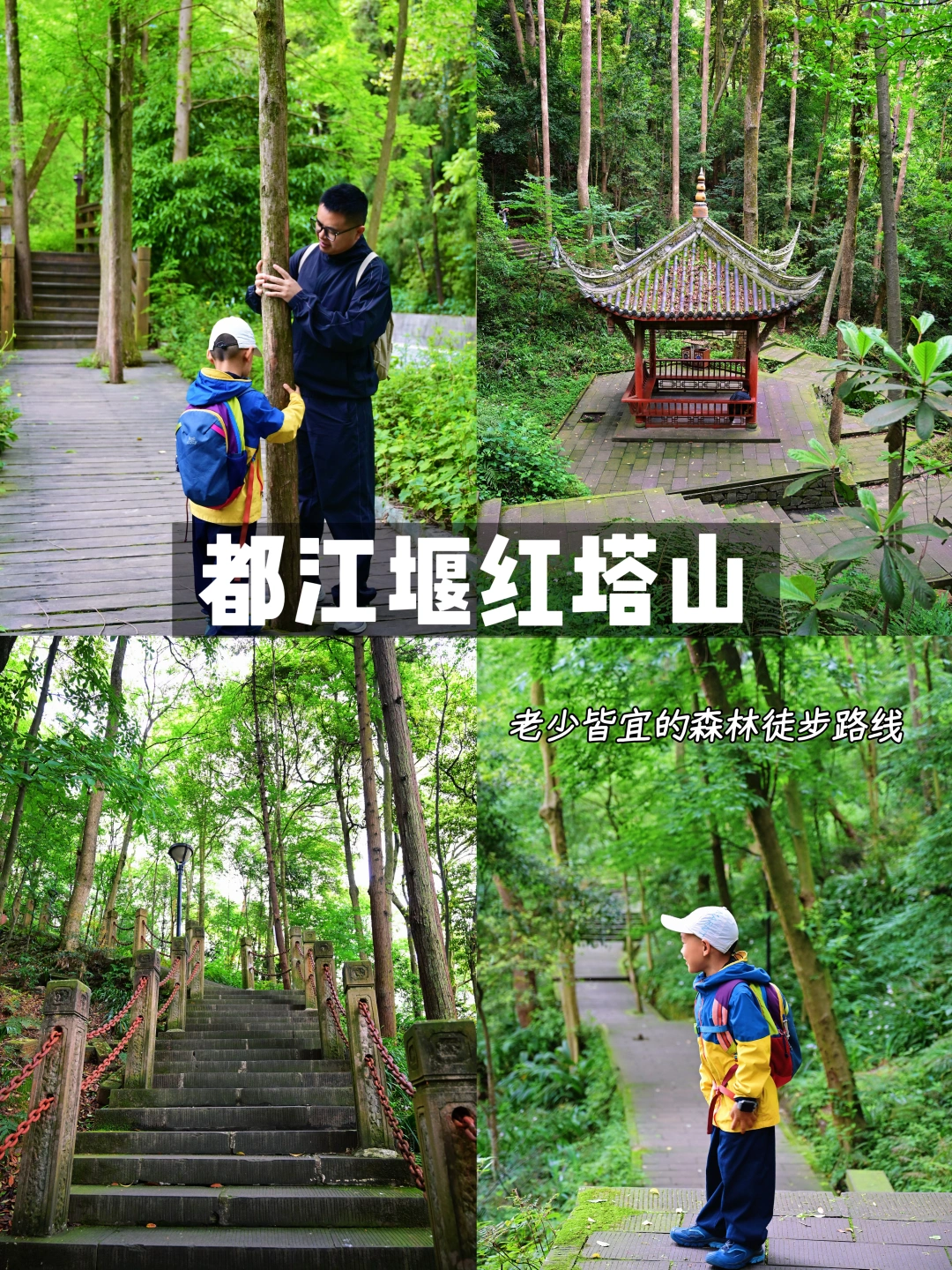 成都周边1h‼️森系🌲亲子友好不晒的徒步路线