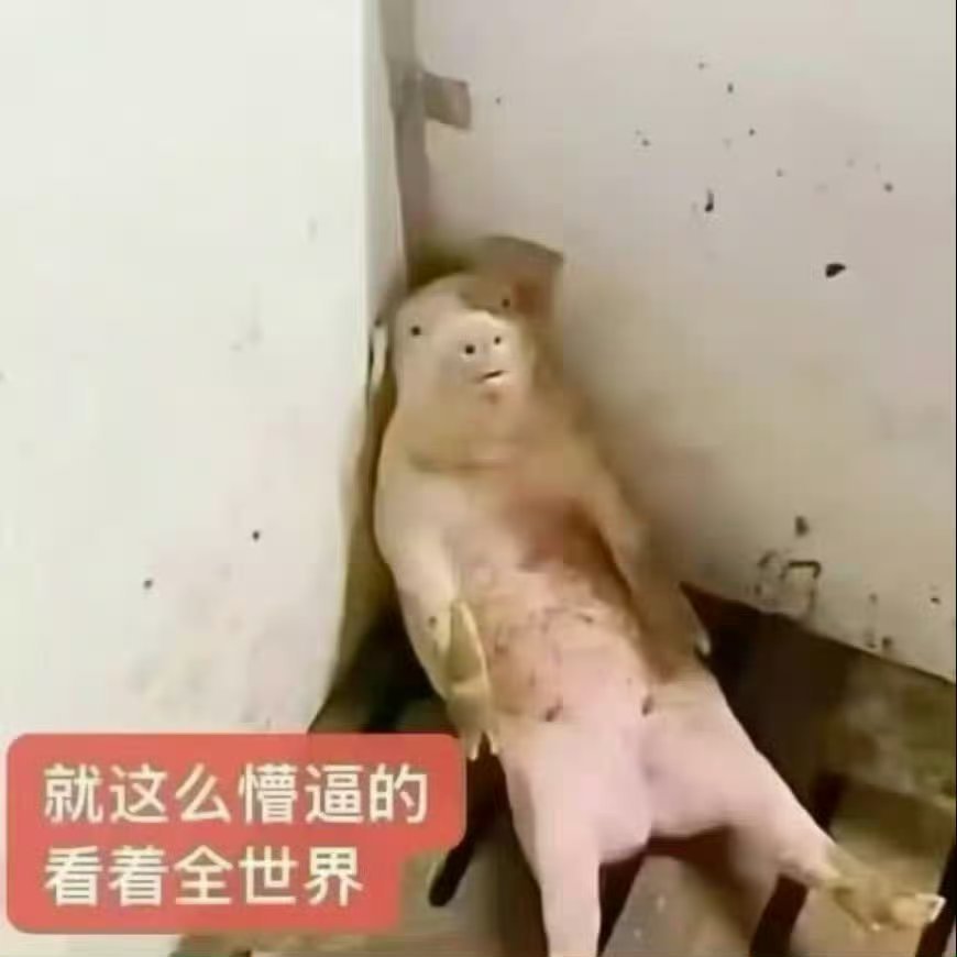 上完一个周期的私教了我将续课[泪奔]太坎坷了中途还因为🐏了反反复复感冒停了一个月，从一周一节都受不了到现在能一周去上两节课了[努力] ​