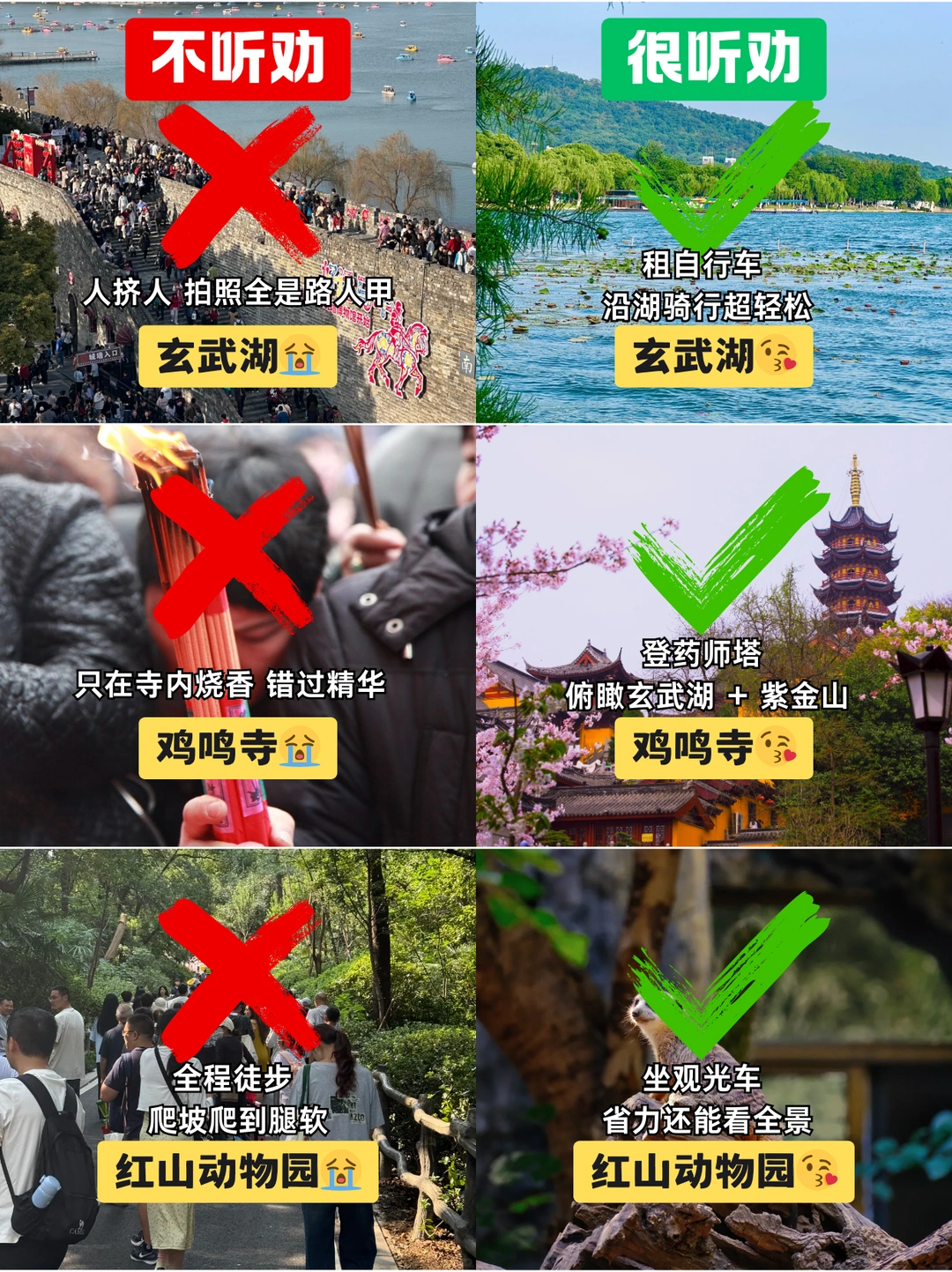 南京旅游听劝｜别瞎逛！照着玩超省心✨