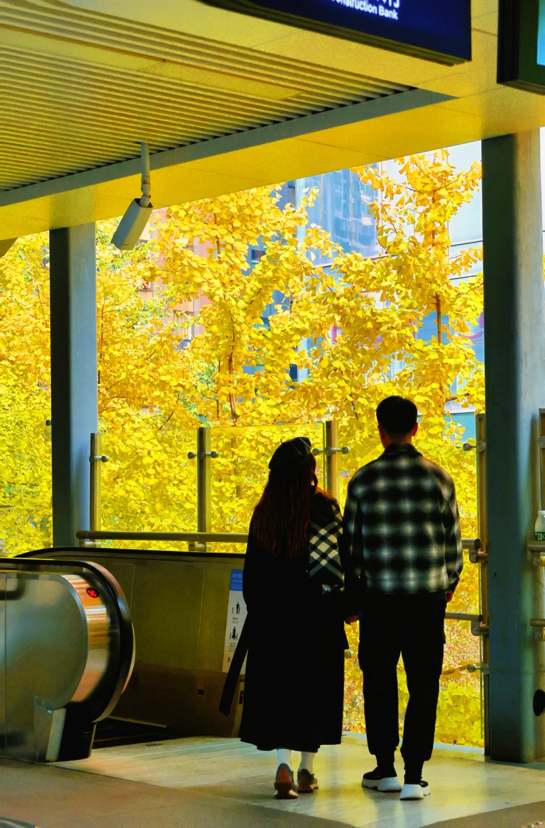 太期待武汉的秋天🍂1️⃣0️⃣个绝美机位分享📸