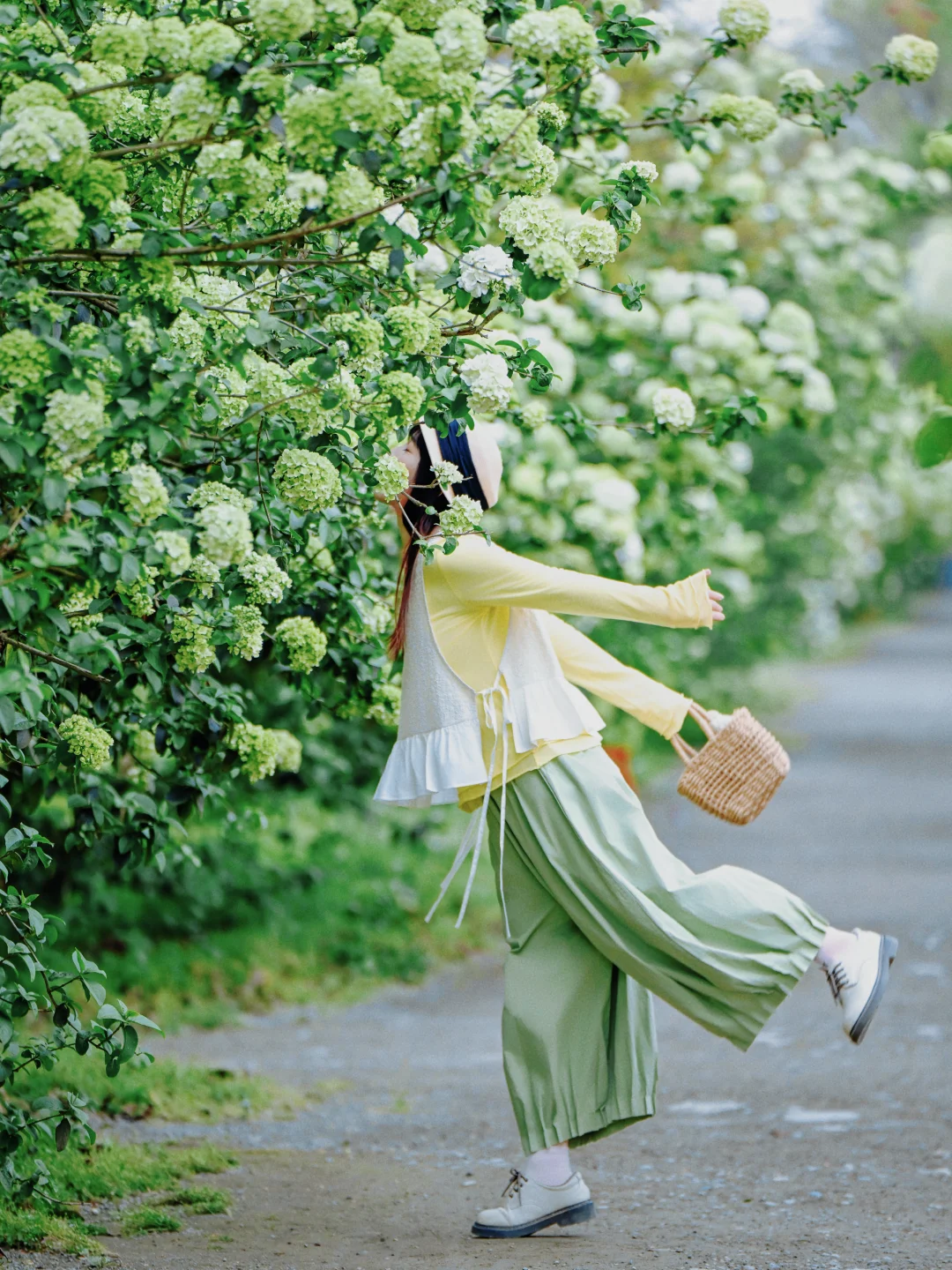 封神了❗这样拍花🌸，真的好出片❗附教程