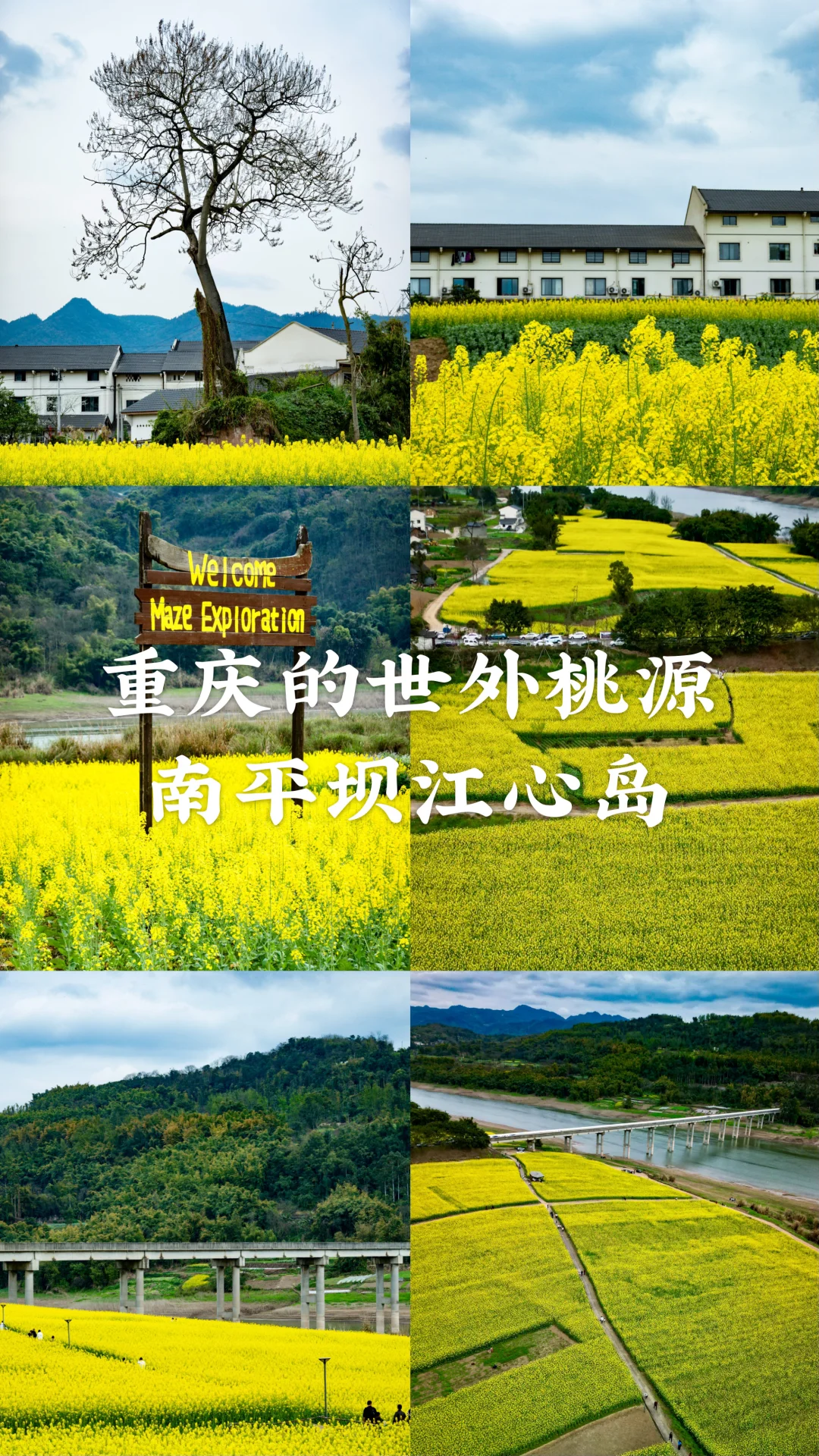 重庆的世外桃源南平坝江心岛🌈‼️