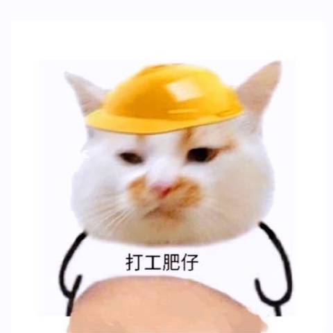 一个专员