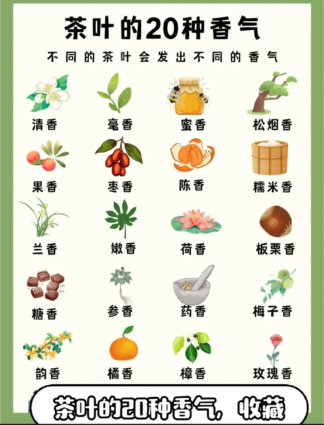 不同茶叶香气不一样，你知道为什么吗？