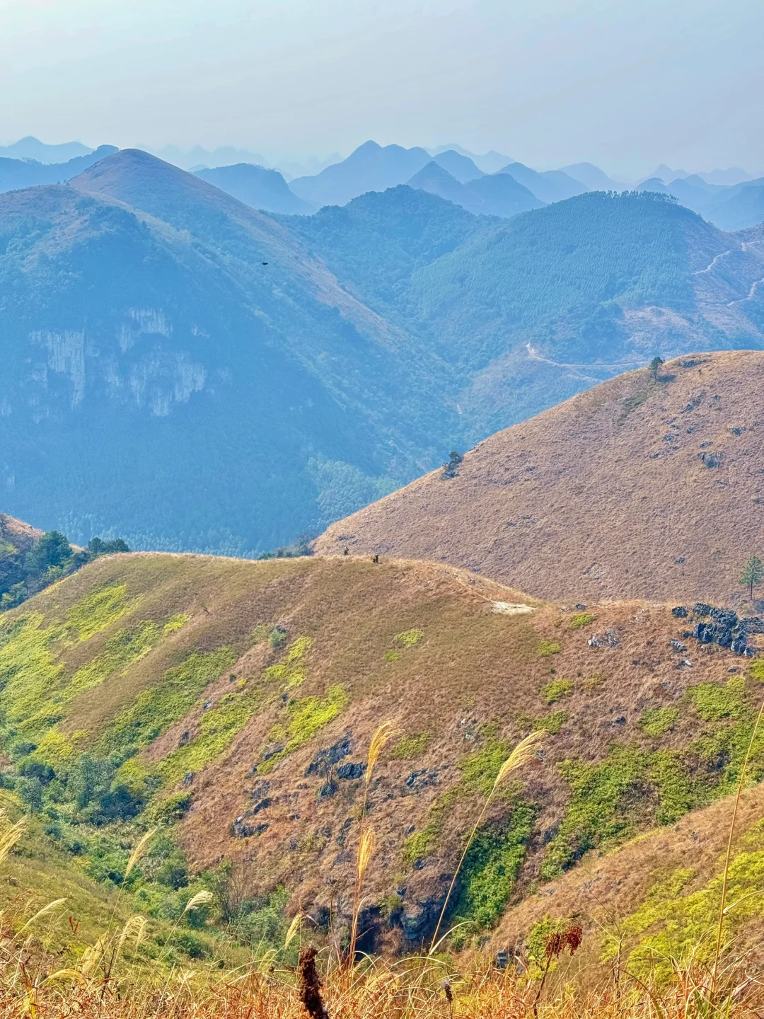 南宁周边绝美高山草甸｜来宾九凤山｜附攻略