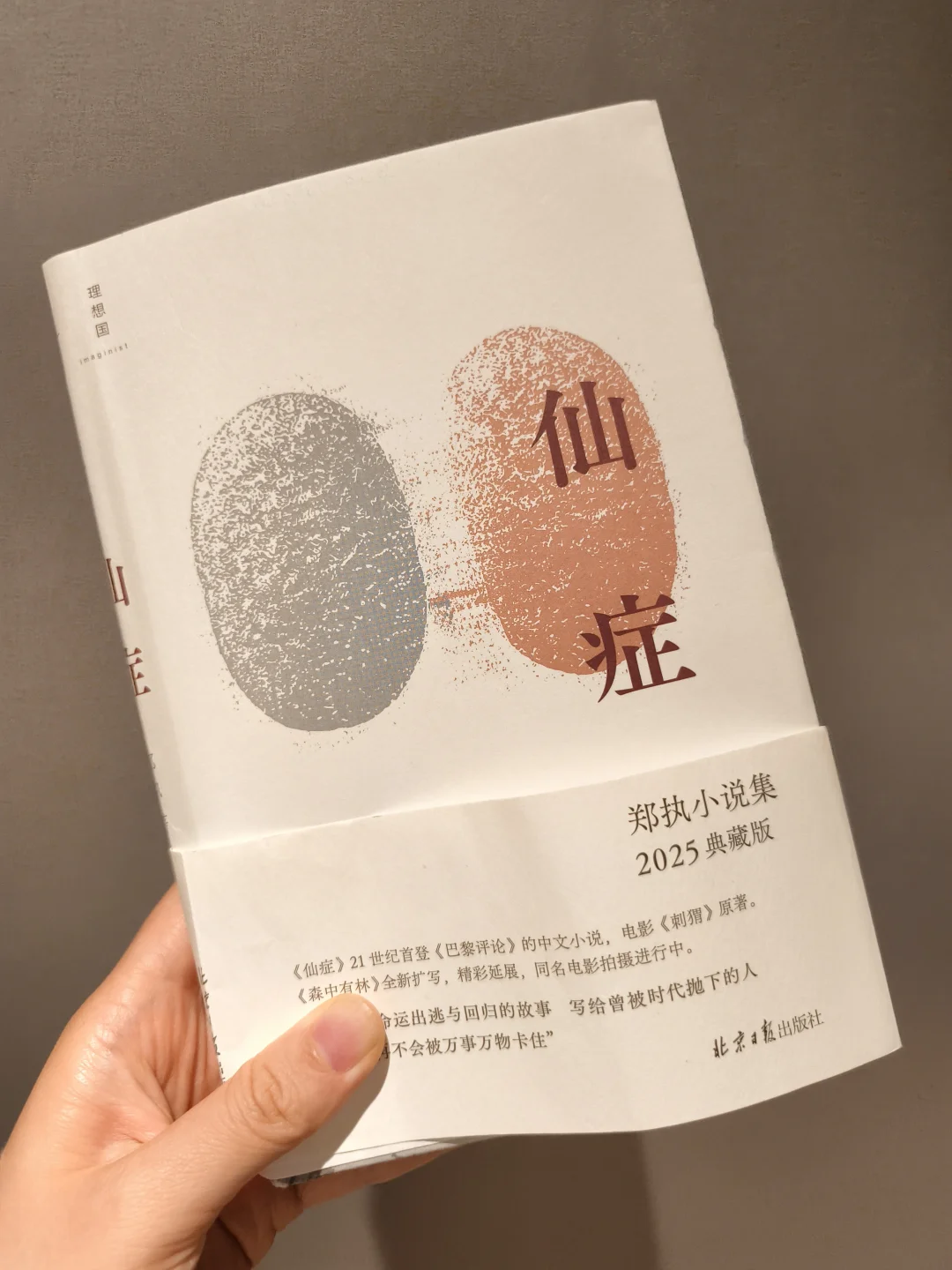 一口气读完《仙症》！后劲好大！把生活写透