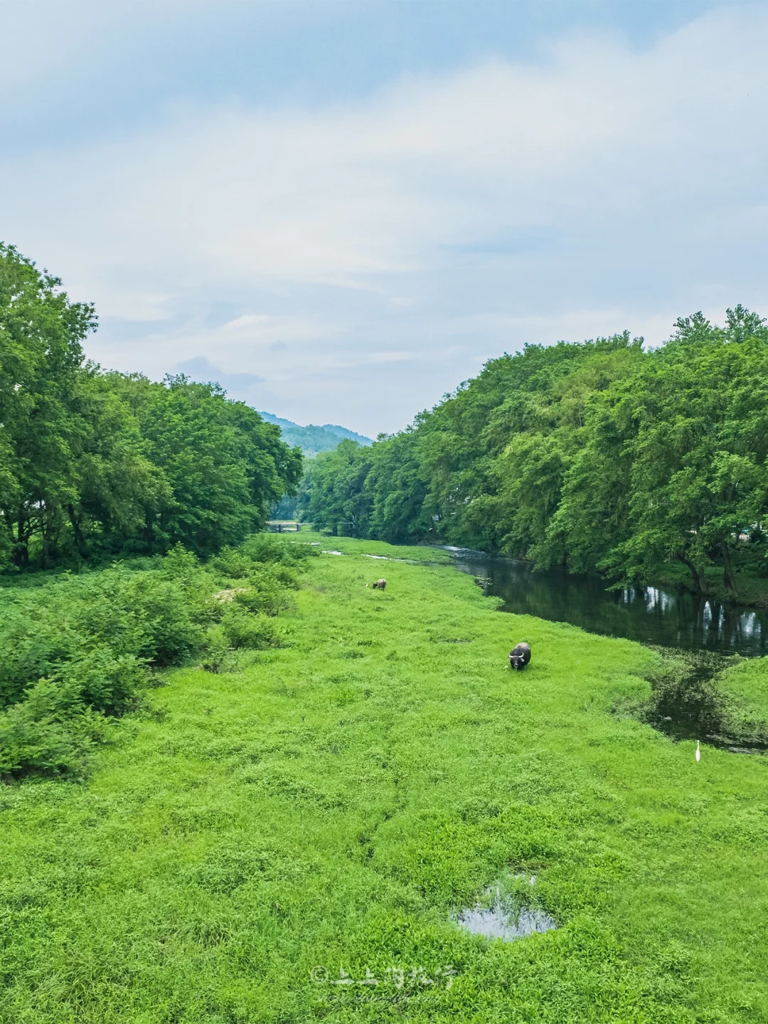 “小伊犁”玩水捞鱼划船不想走，武汉周边
