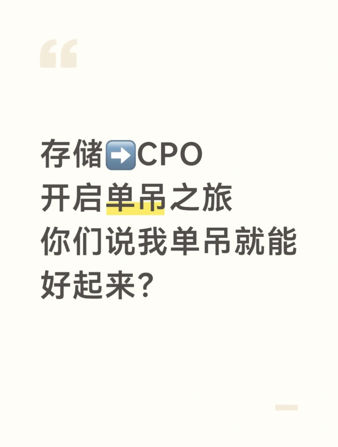 单吊了，存储→CPO，赚点米在瓜子买个车