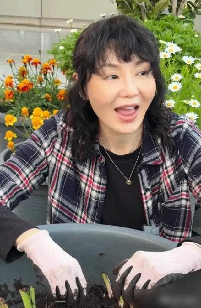 61岁的张曼玉把自家豪宅的阳台改成小菜园，亲手下地挖芋头，手上沾满泥土。昔日风华绝代的影后，一头随性卷发，一身朴素休闲装，沉浸式体验农耕生活。
就这么个接地气的种菜日常，凭着毫无包装的松弛感，一口气让她涨粉160万。就连发在社交平台上的视频，都是她自己亲手剪辑的。
自从2004年拿了戛纳影后淡出