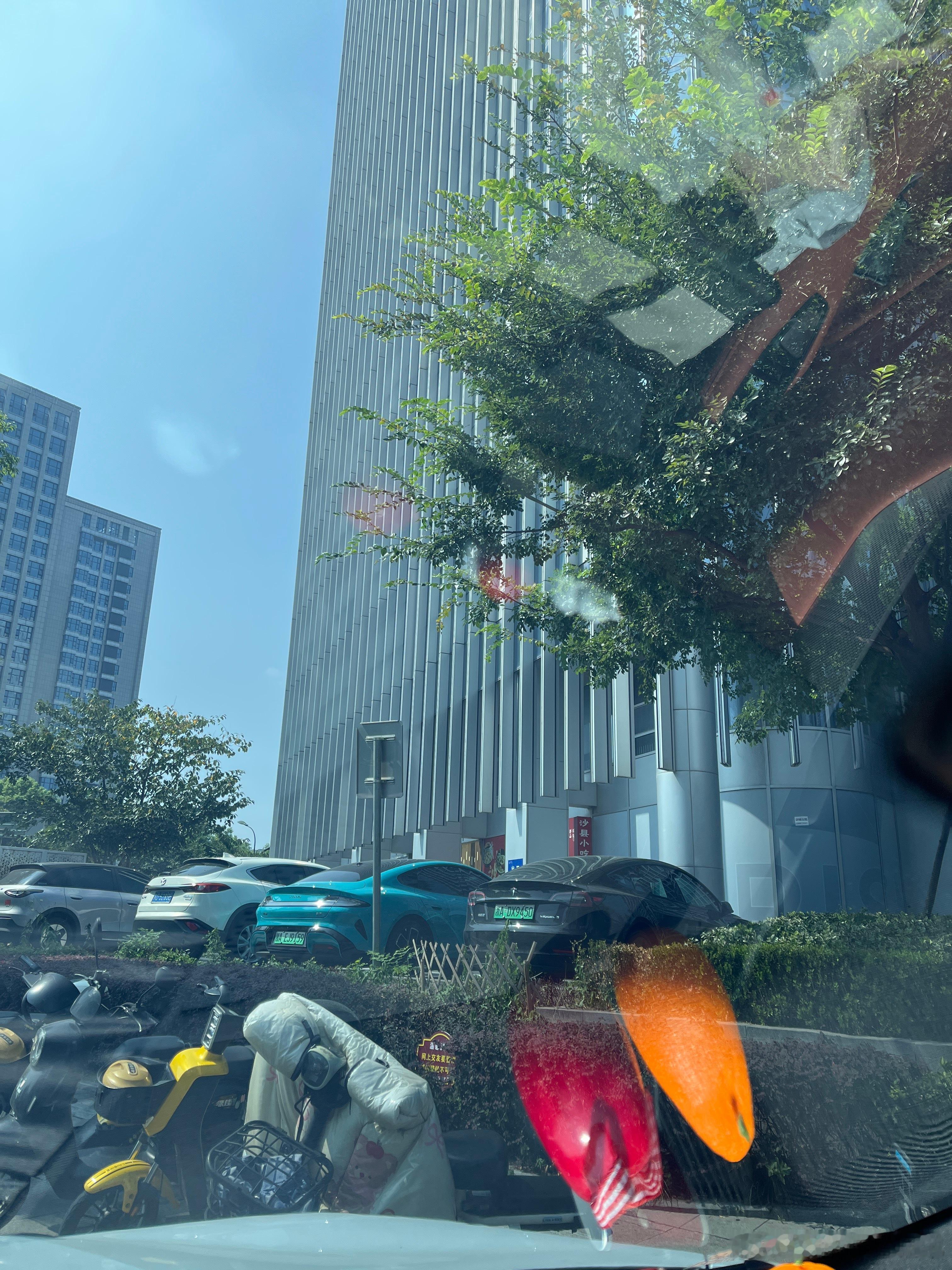 中秋回郊区老家吃团圆饭。深蓝S05的后备箱，装满我为家人准备的团圆心意。养生礼盒、特产零食，水果饮料，还有可爱玩偶，塞的满满当当，从家里到车上，小推车爆满拉了两趟。每一件都是为了各位长辈和家人精心挑选的礼物，藏着许久未见的思念。

平日里奔波忙碌，难得趁着中秋回来，心中满是期待。家里 ​
