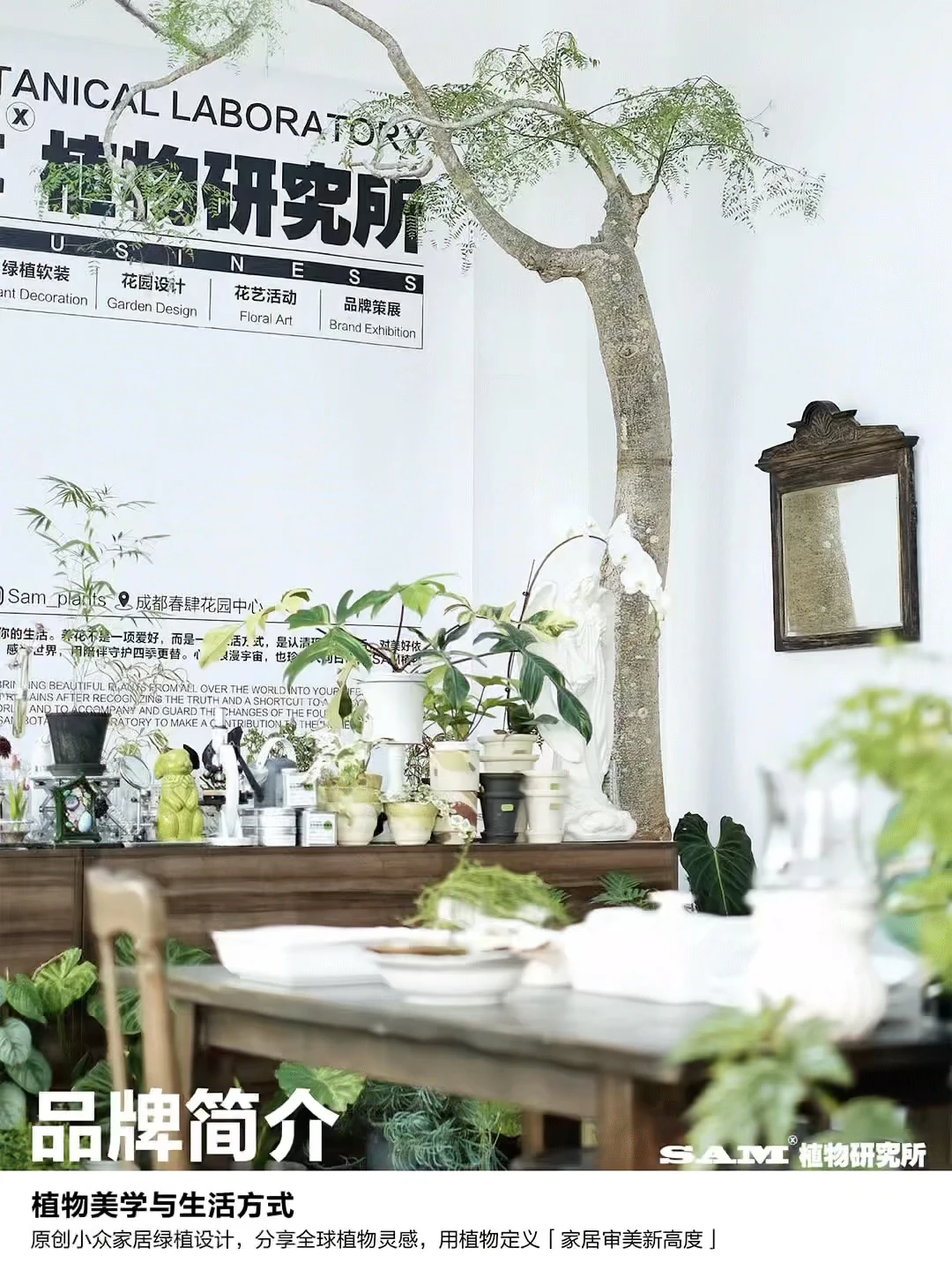 SAM植物研究所｜品牌简介