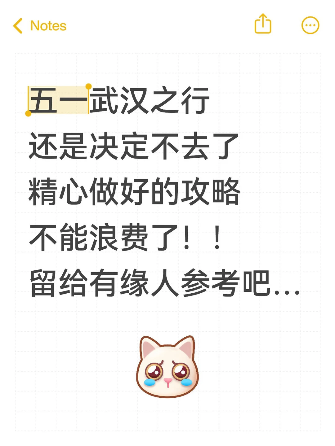 本J人对自己耗时24h做的武汉攻略满意的不行