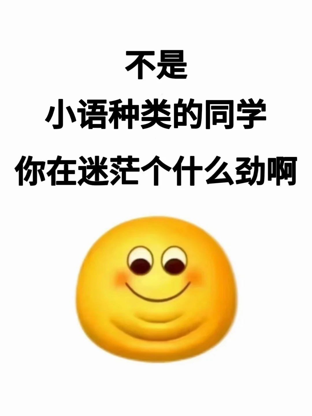 小语种专业考公赢麻了！